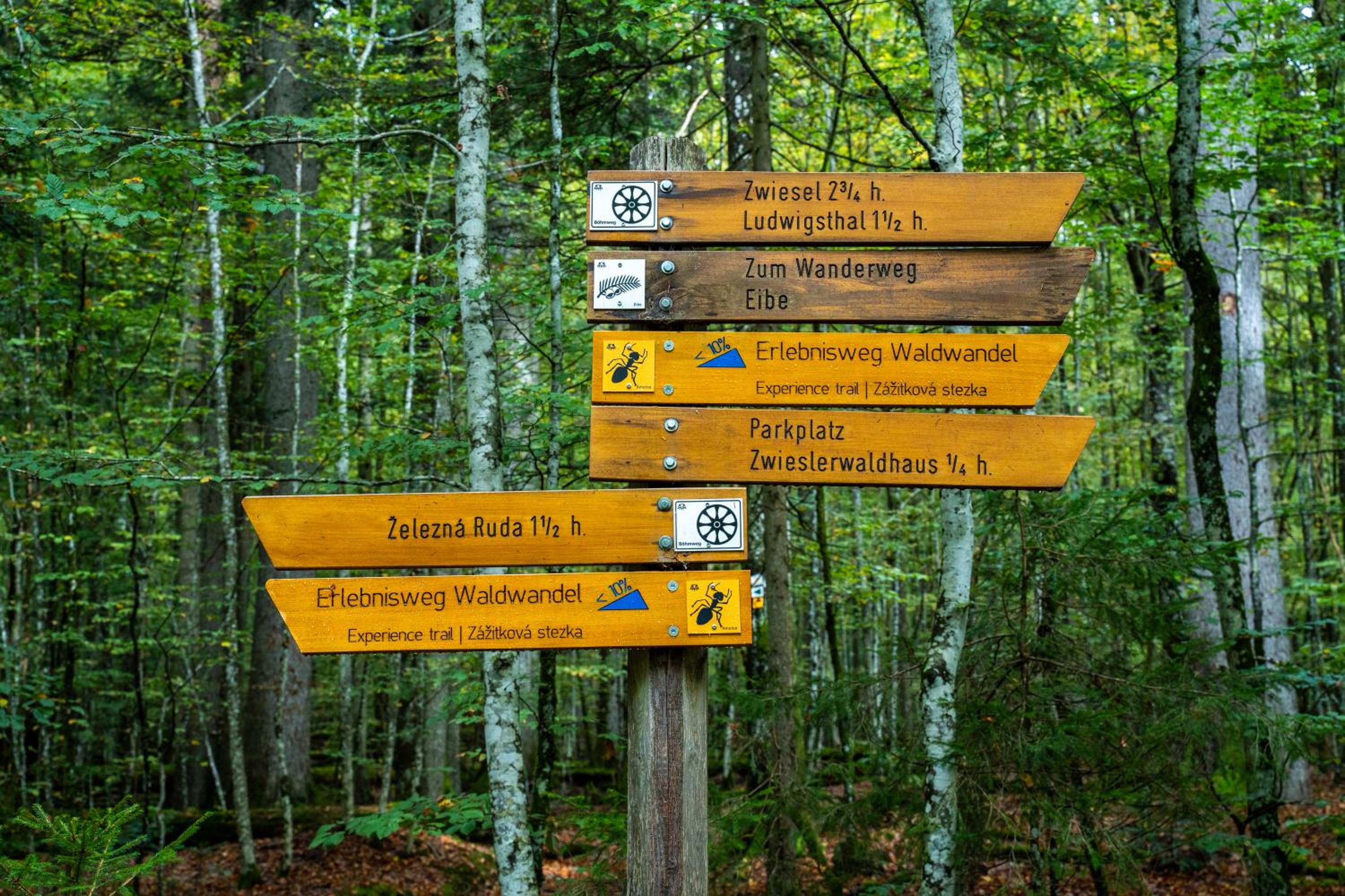 Großer Arber, Wandern & Sauna, Gemütliches Apartment im Nationalpark Bayerischen Wald
