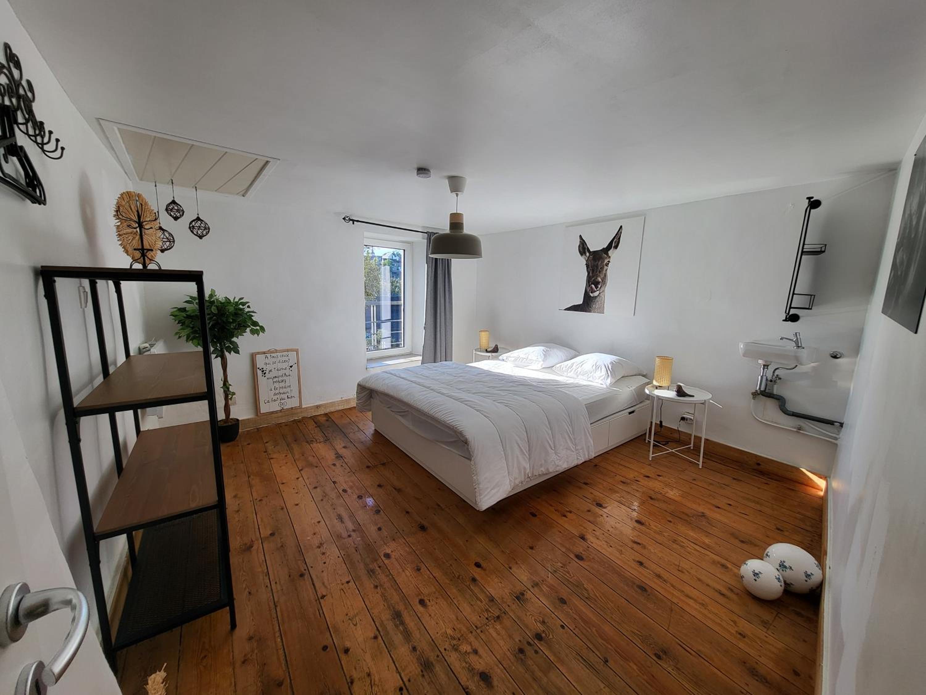 Le Grand Cerf gîte citadin