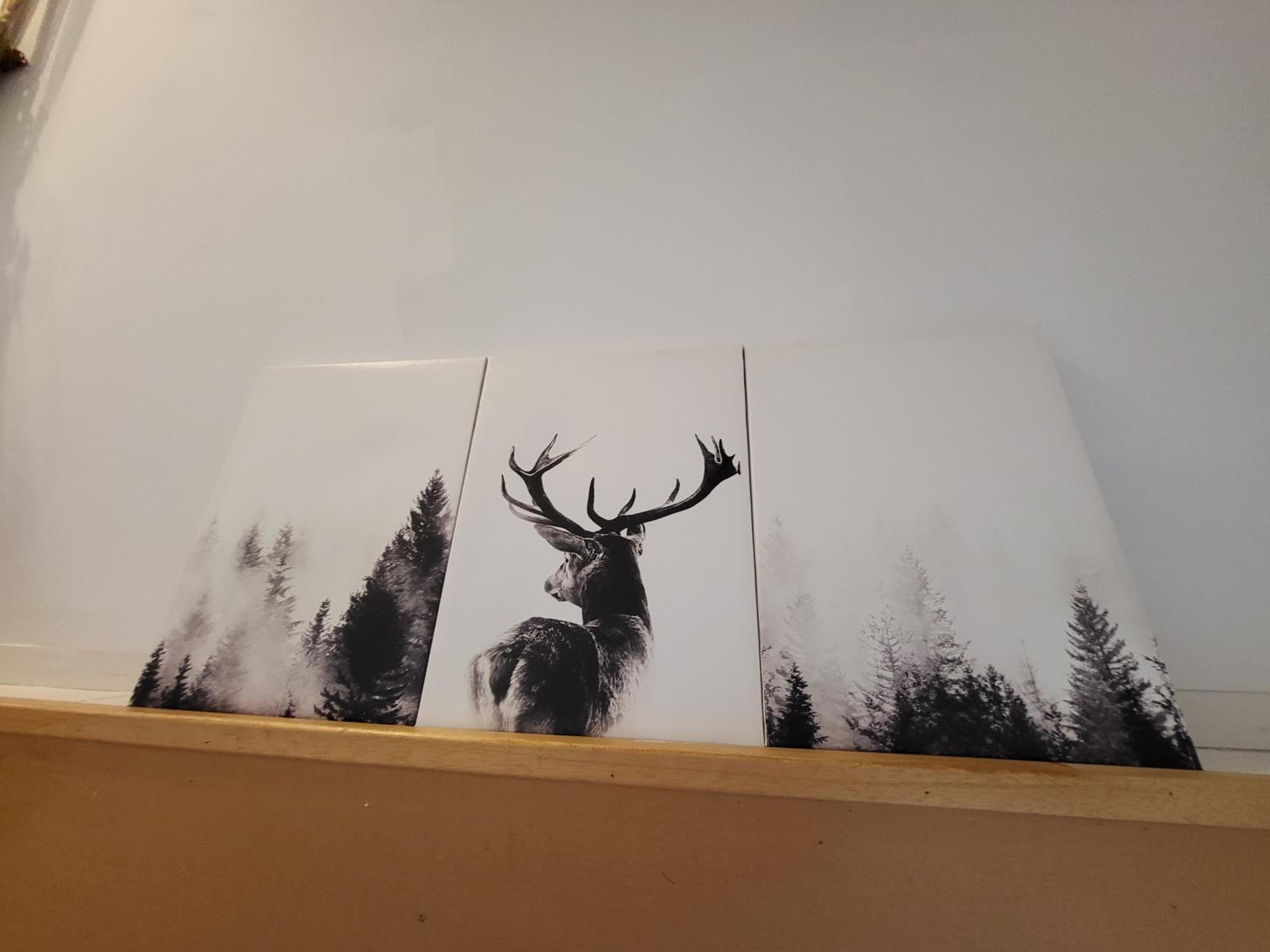 Le Grand Cerf gîte citadin