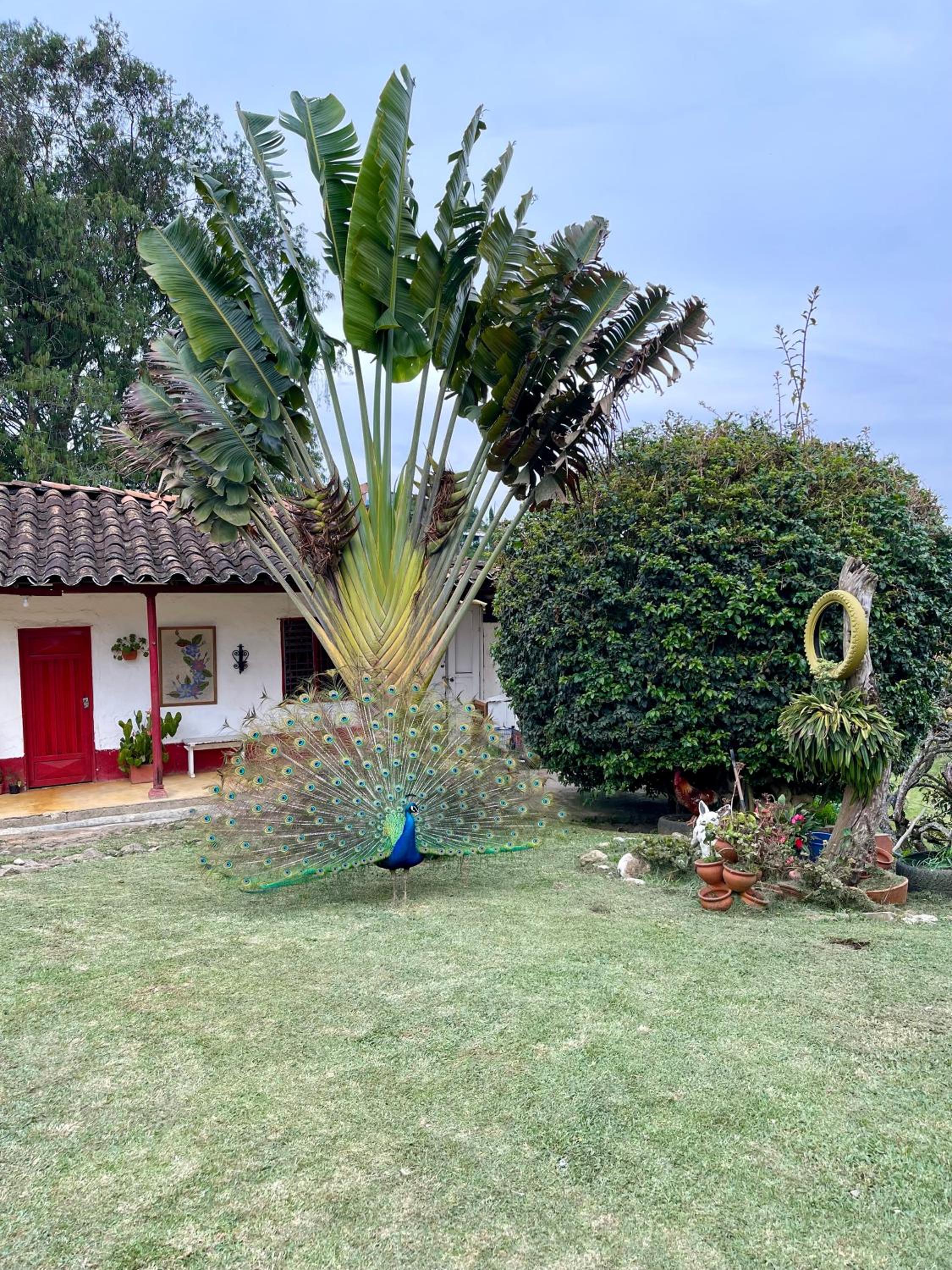 Hermosa casa finca en Marinilla