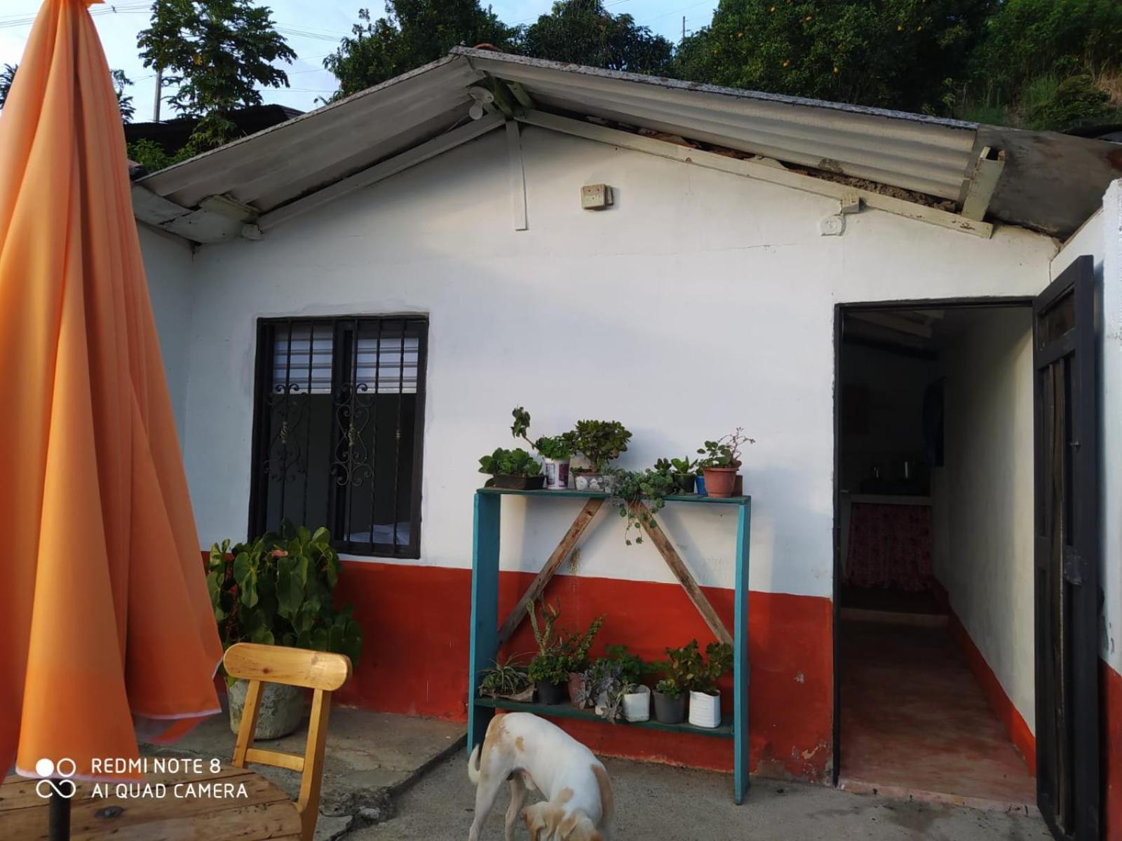 pequeña casa en finca cafetera