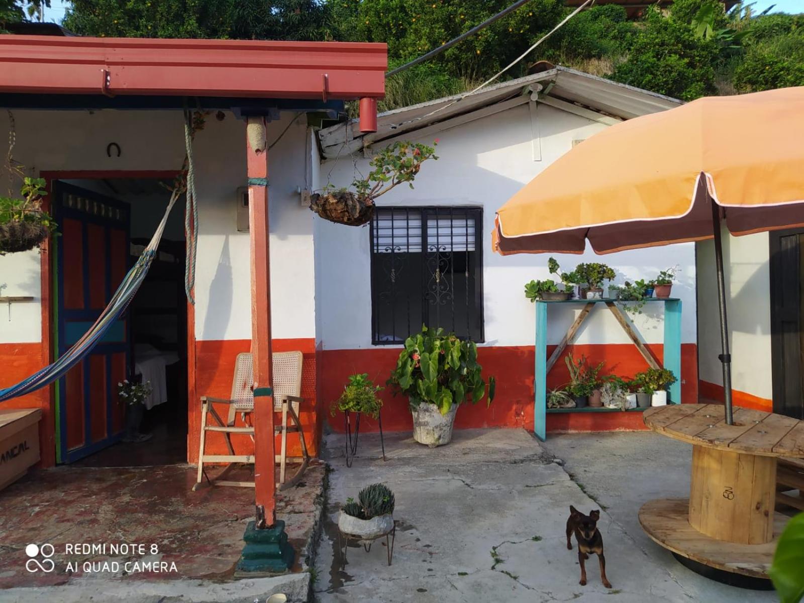 pequeña casa en finca cafetera