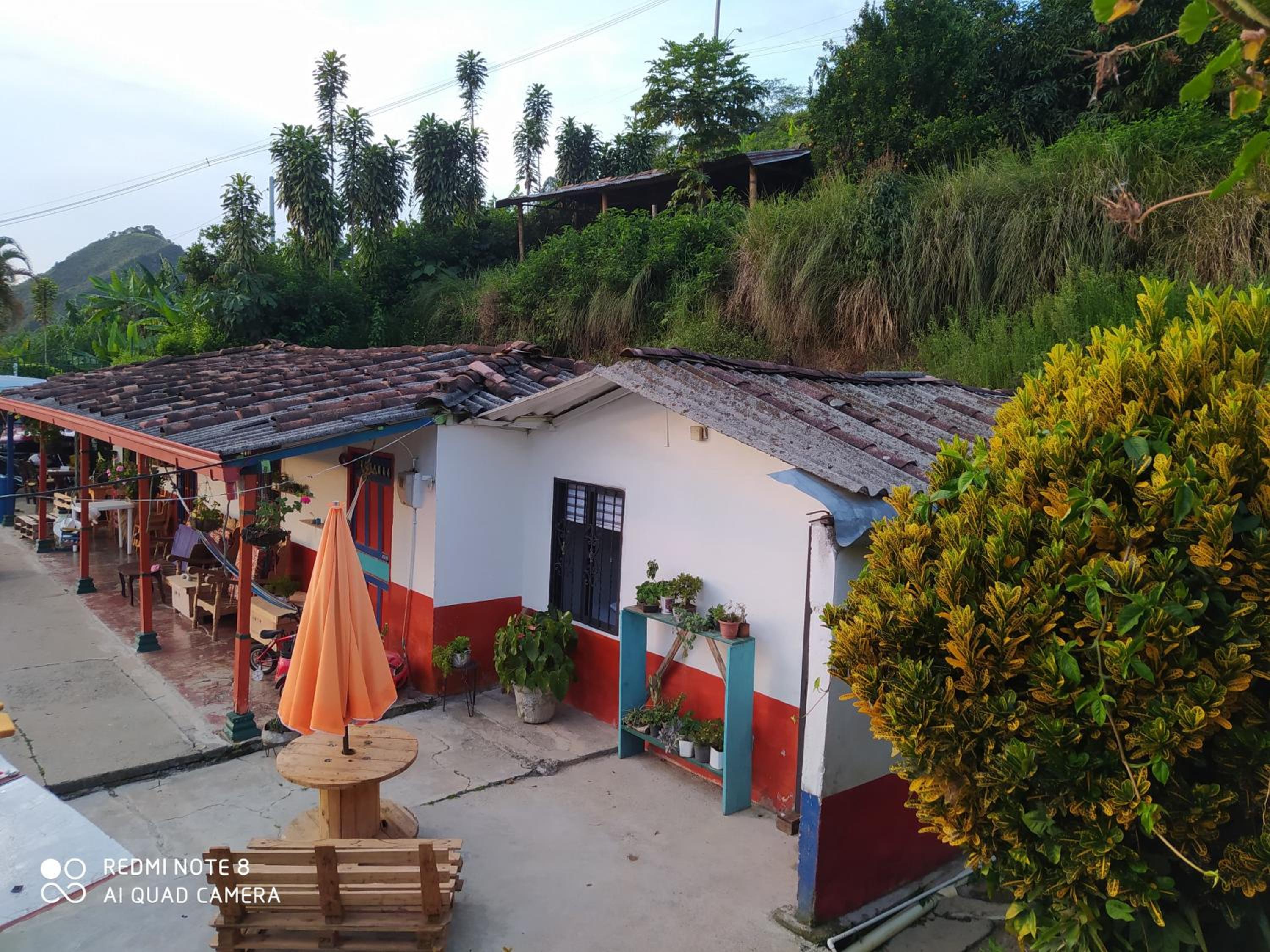 pequeña casa en finca cafetera