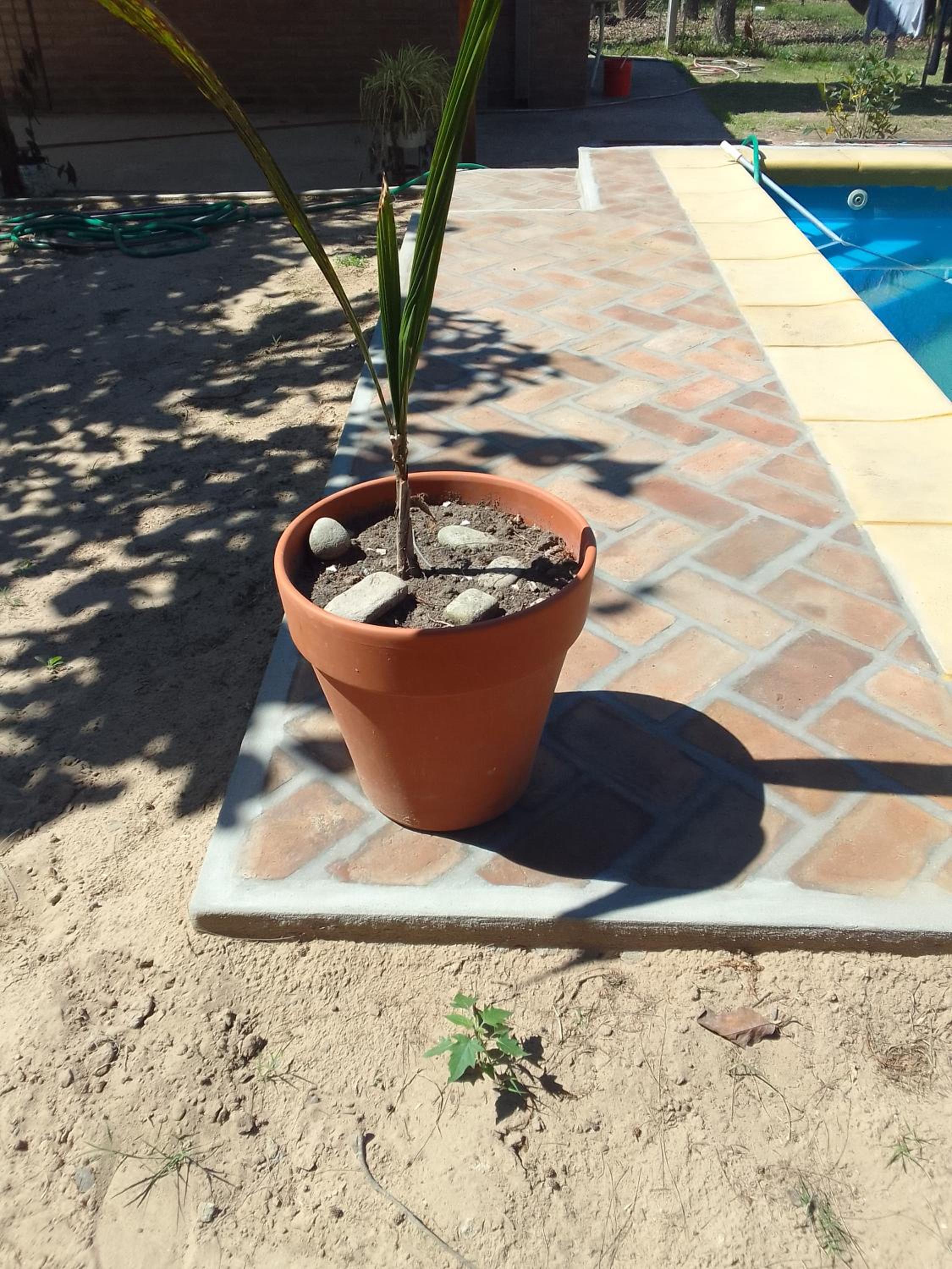 La Guarida del Toto