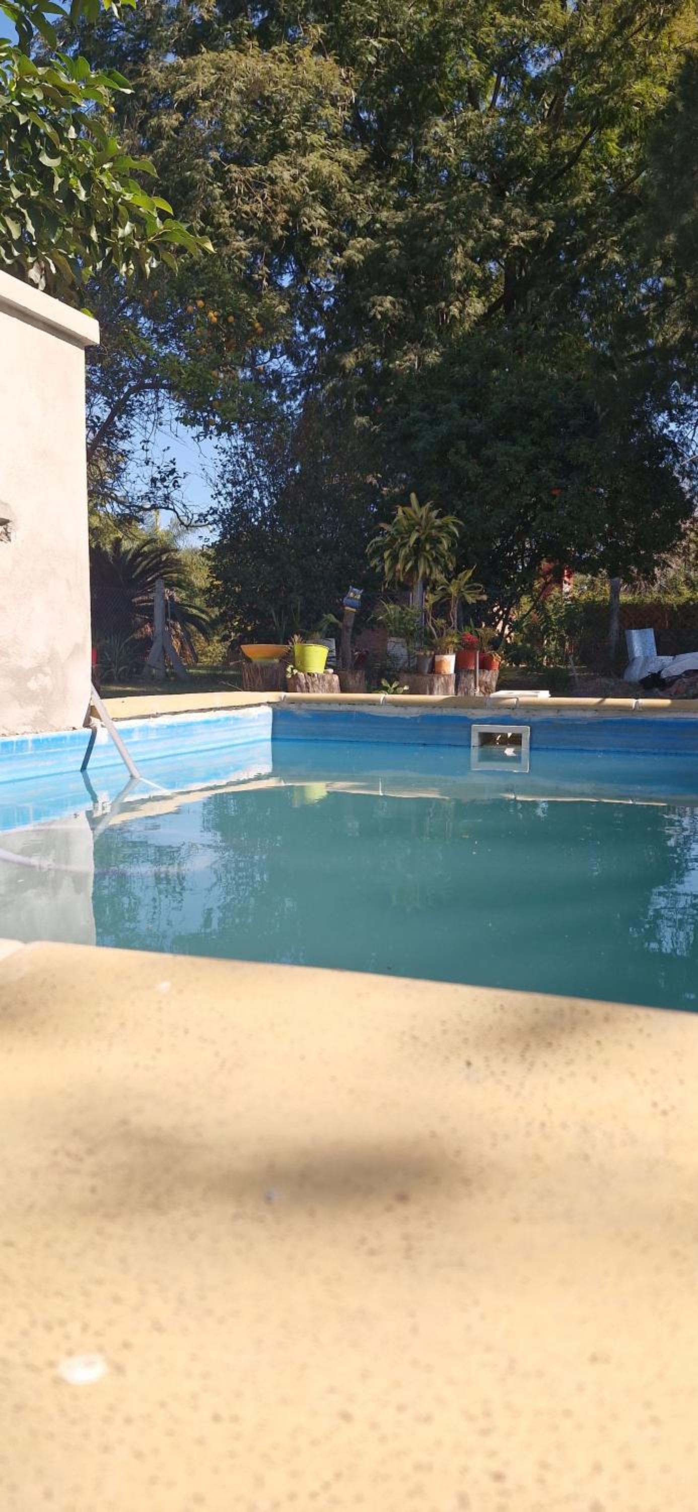 La Guarida del Toto