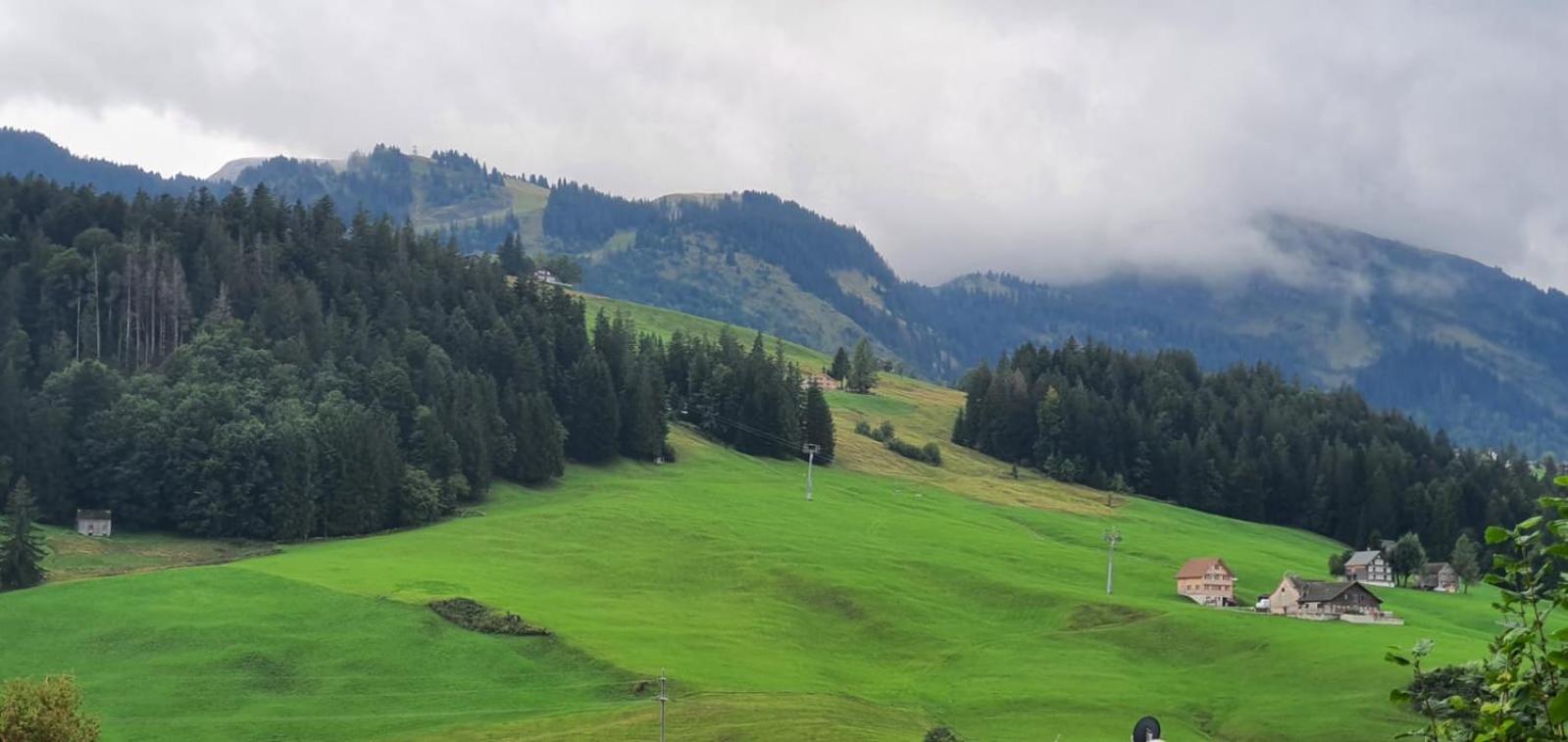 Wildhaus Ferienwohnung