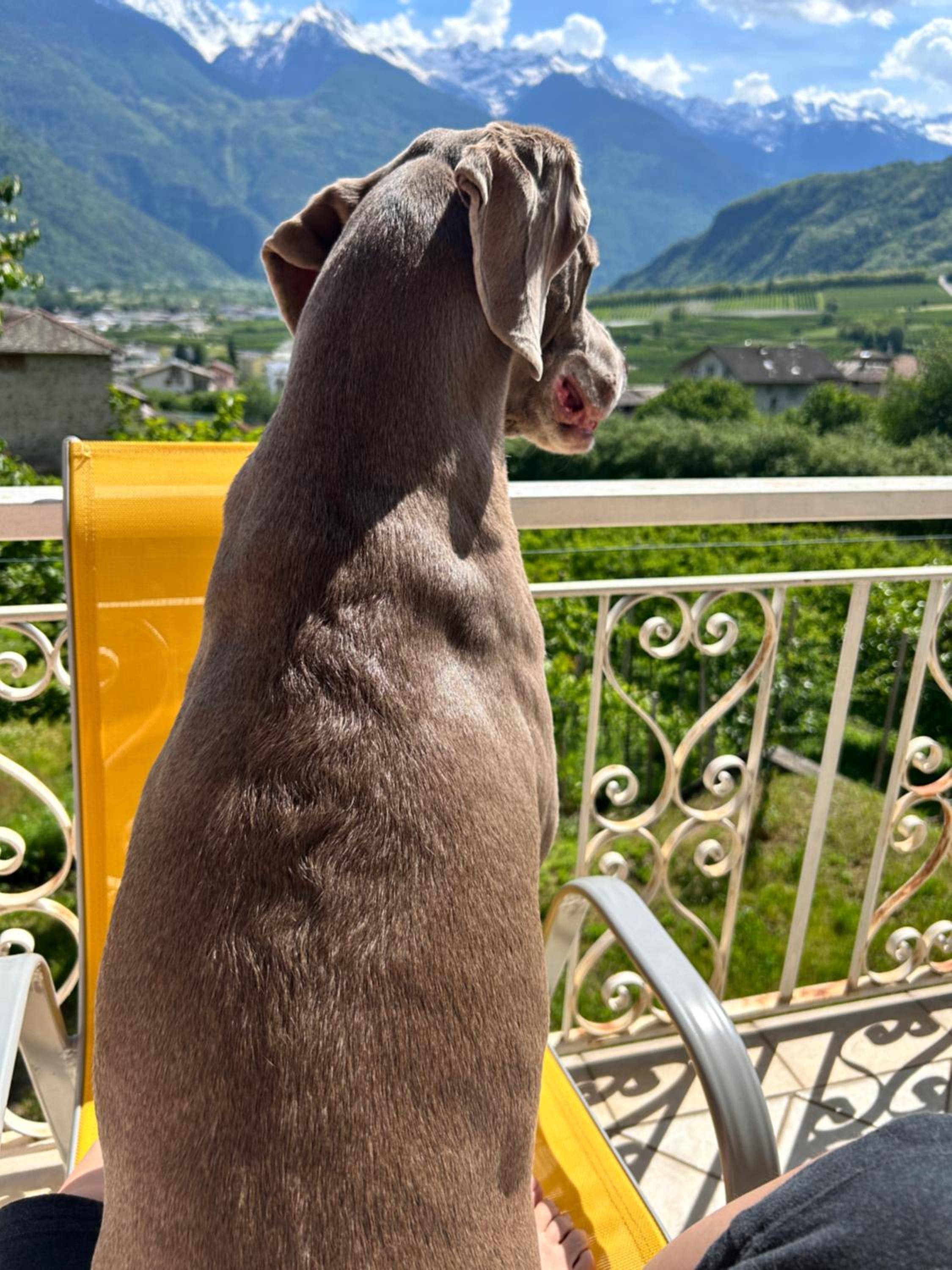 Valtellinda