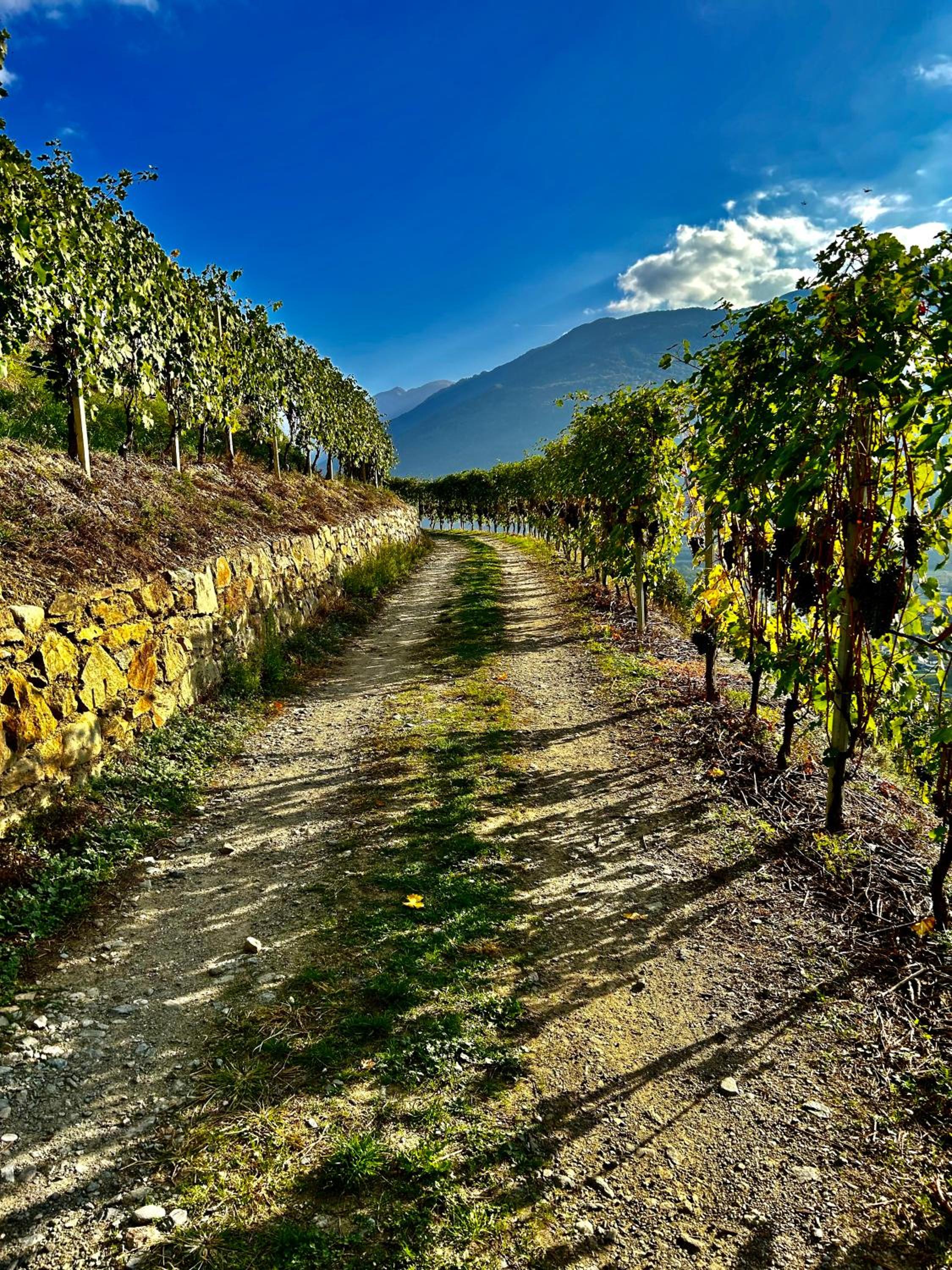 Valtellinda