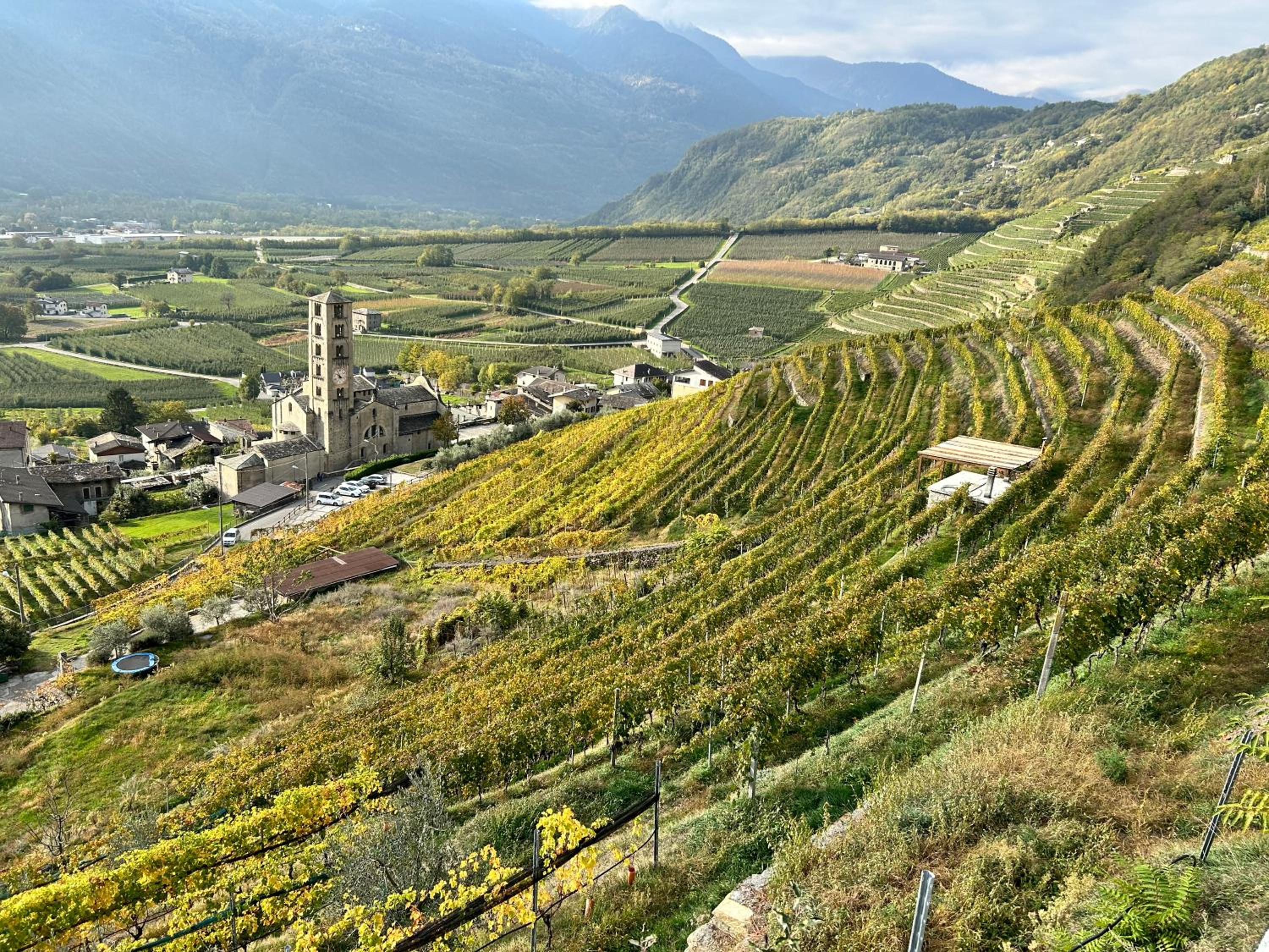 Valtellinda
