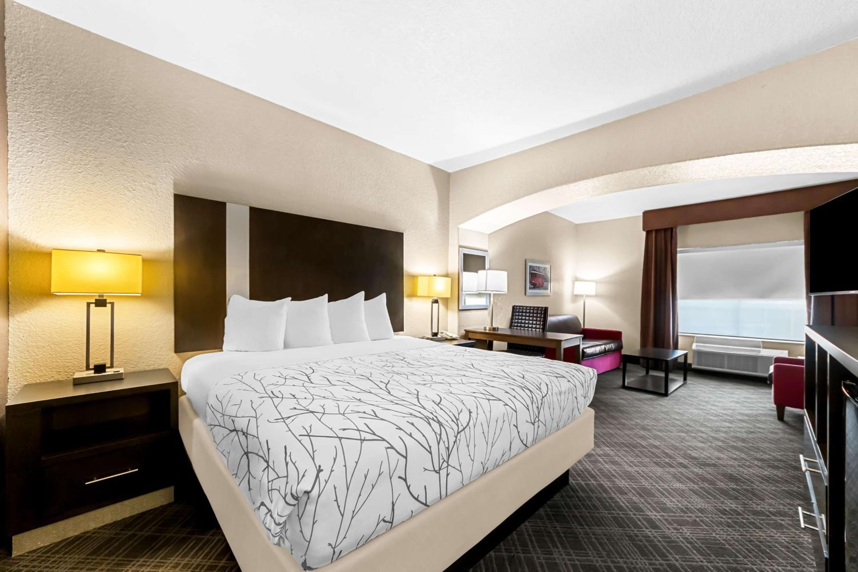 Best Western Boerne Inn  Suites - Property Image 28