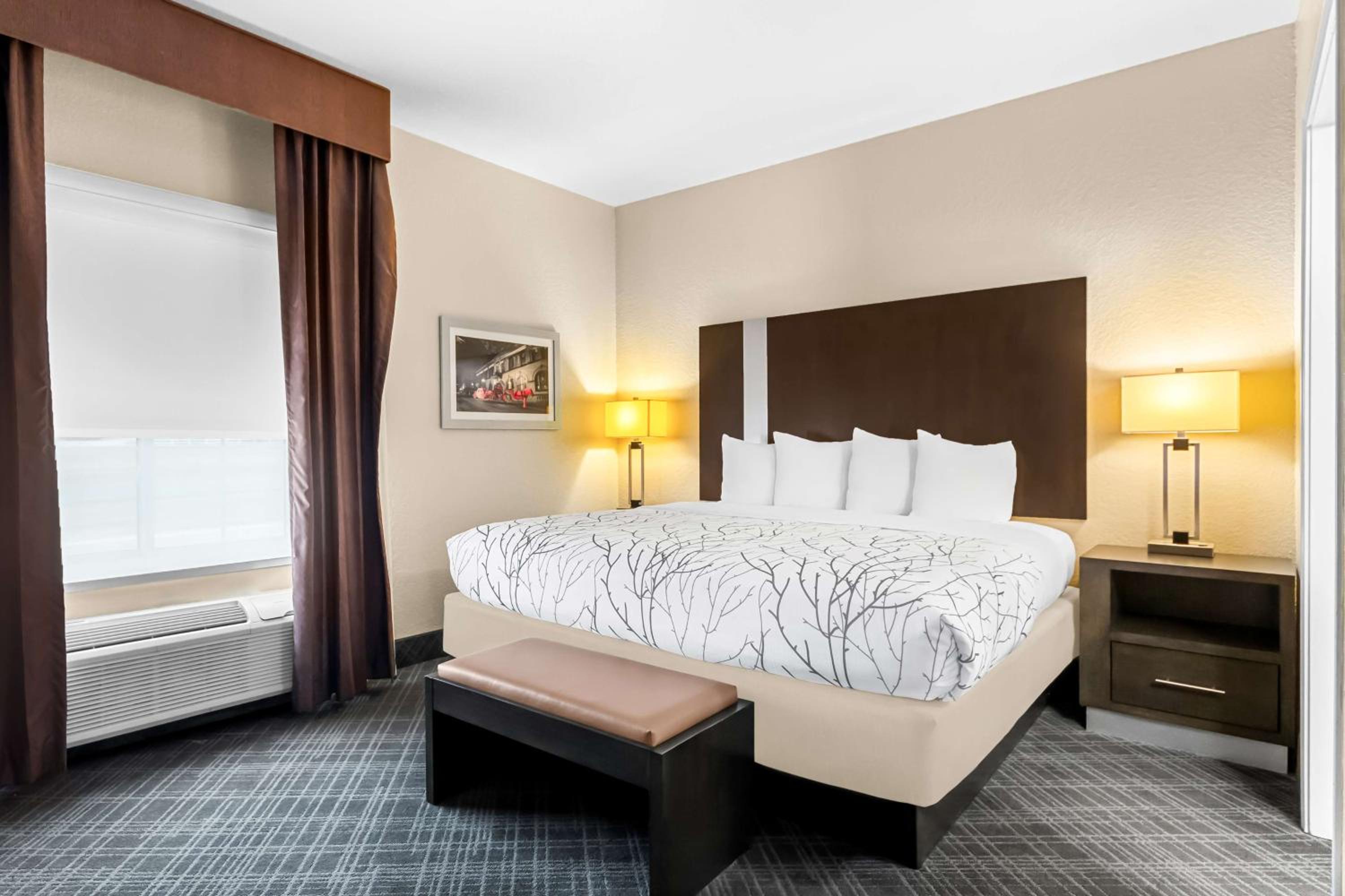 Best Western Boerne Inn  Suites - Property Image 13