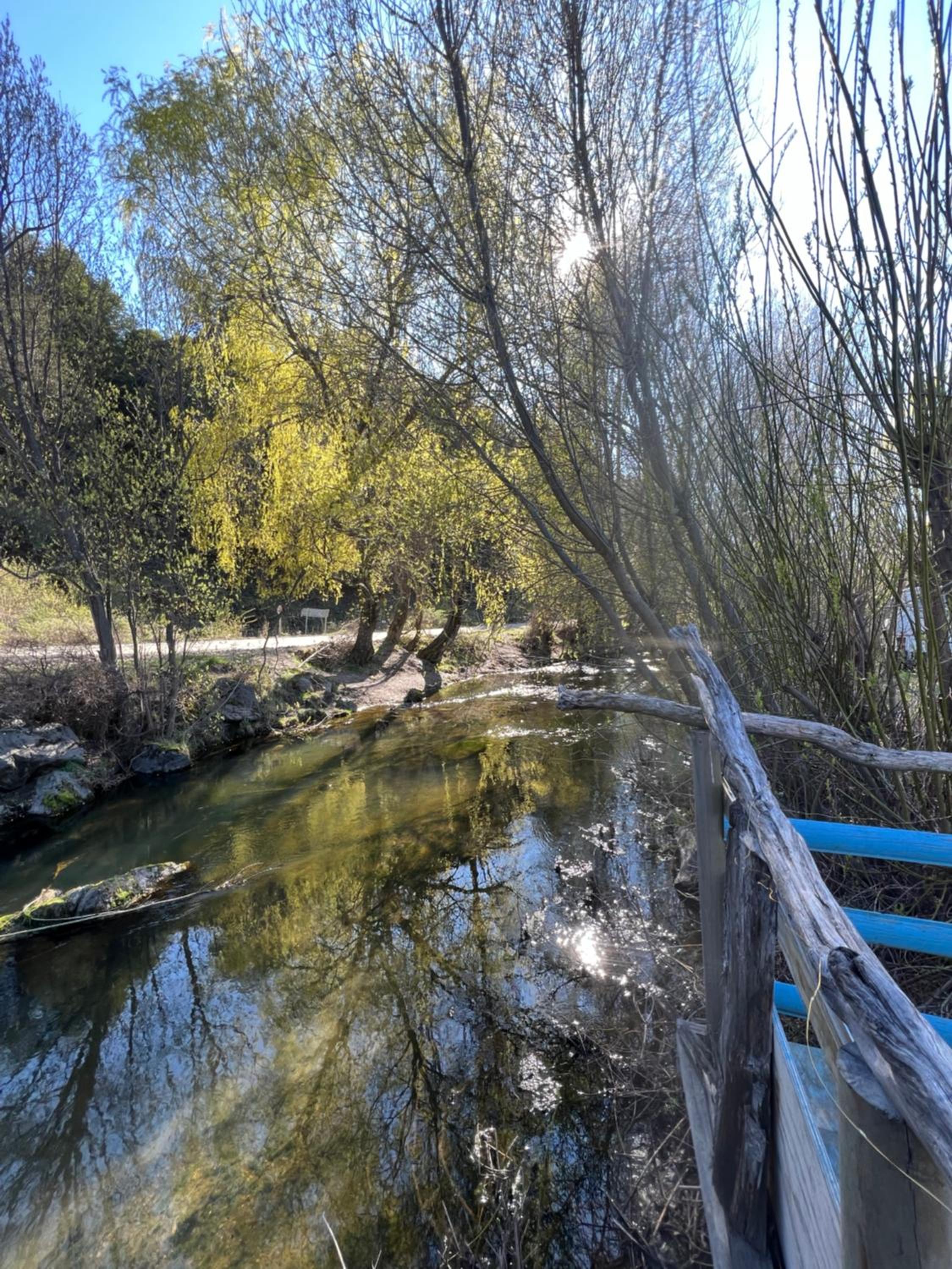 Cabañas lo de Carlo