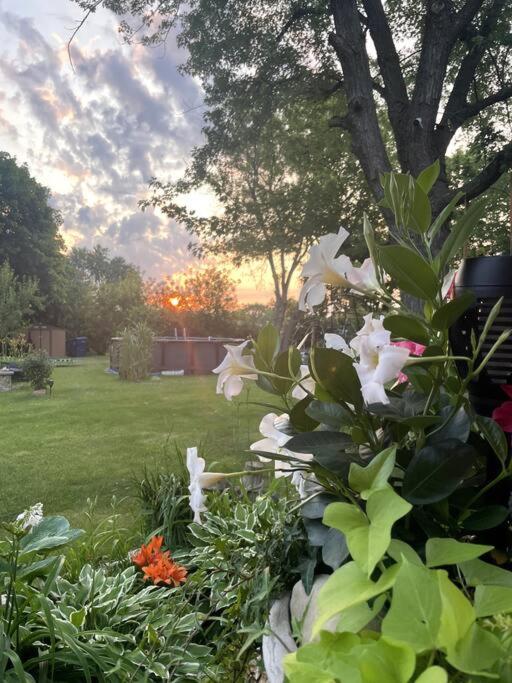 Schaumburg Paradise Oasis with a secret garden and private Pool view 5