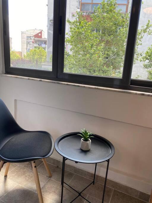 Newly Renovated Urban Oasis