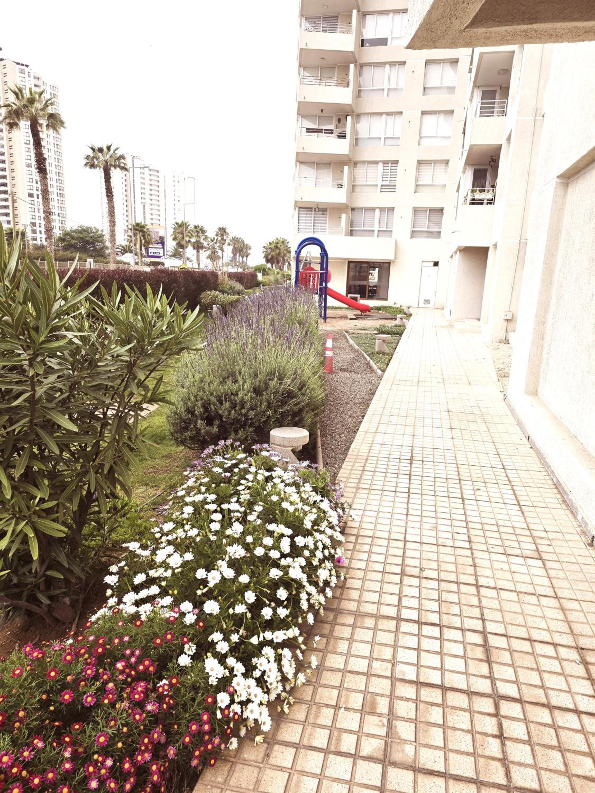 Departamento IV región Playa en Marina Costa frente Casino Enjoy