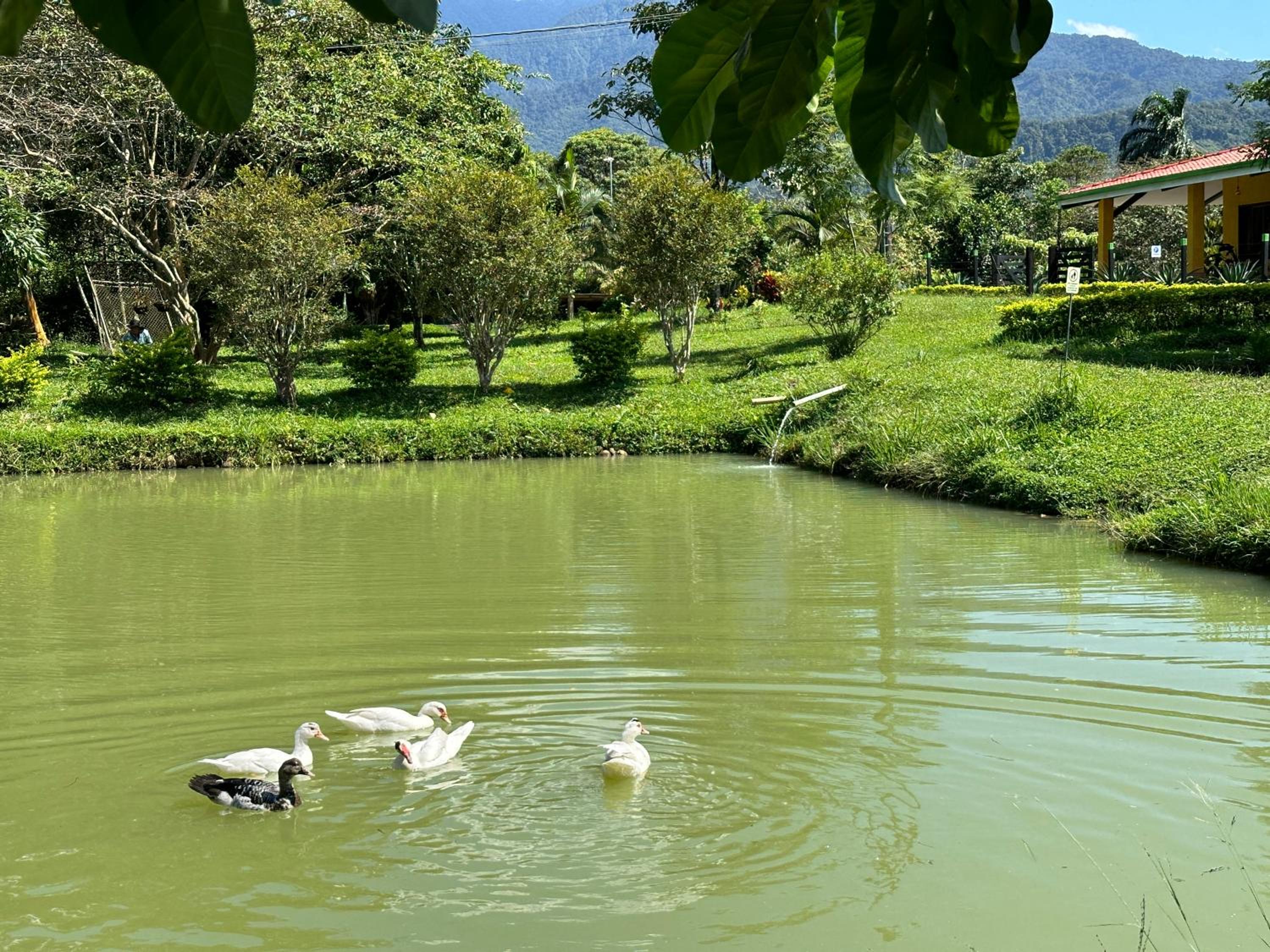 El Ensueño Ecohostal & Glamping