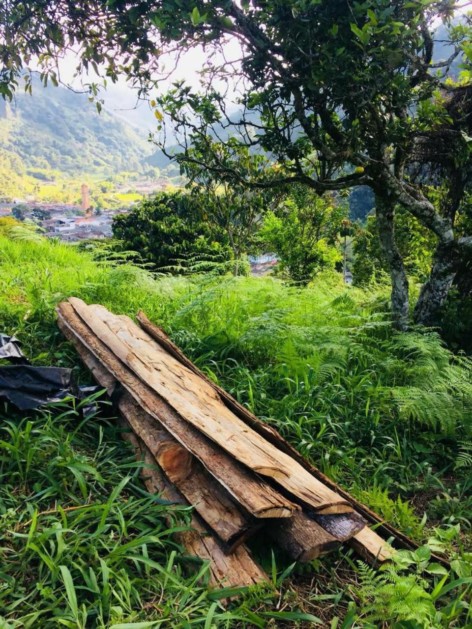 Casa Del Árbol Con Hermosa Vista Pijao Quindío