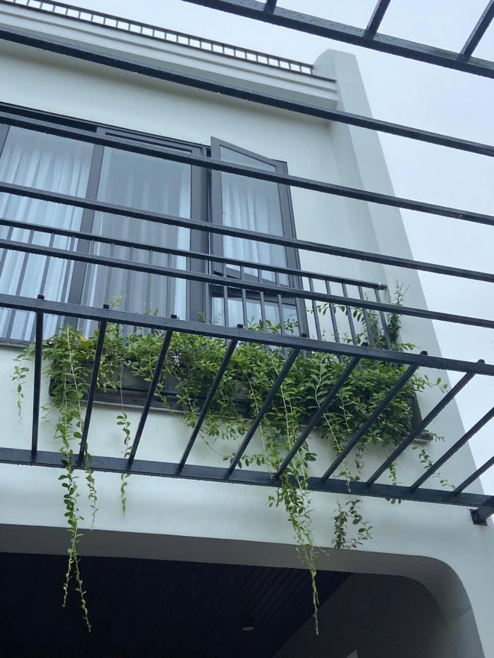 LavA homestay