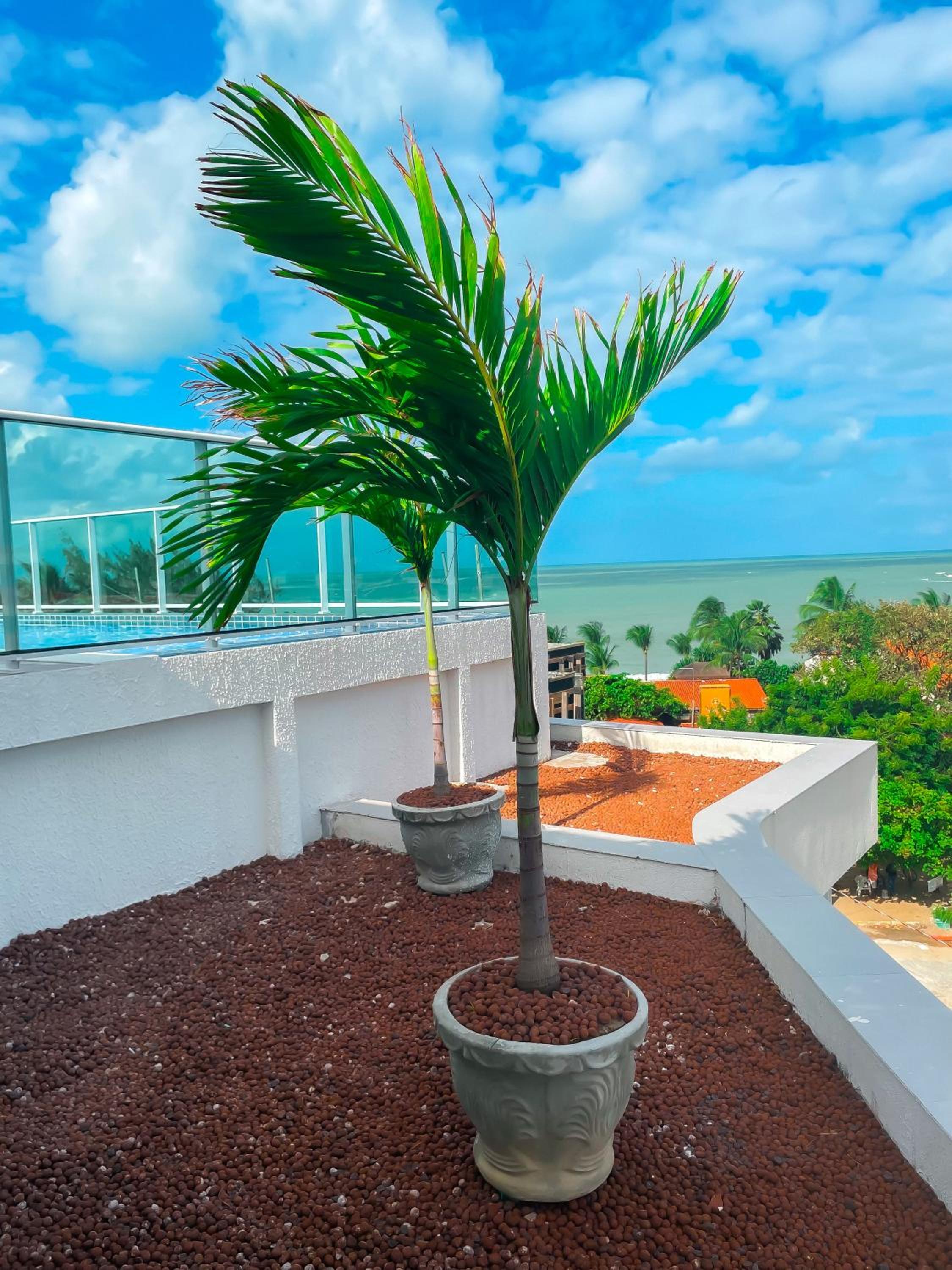 Flatzin Porto de Galinhas Praia e Centrinho