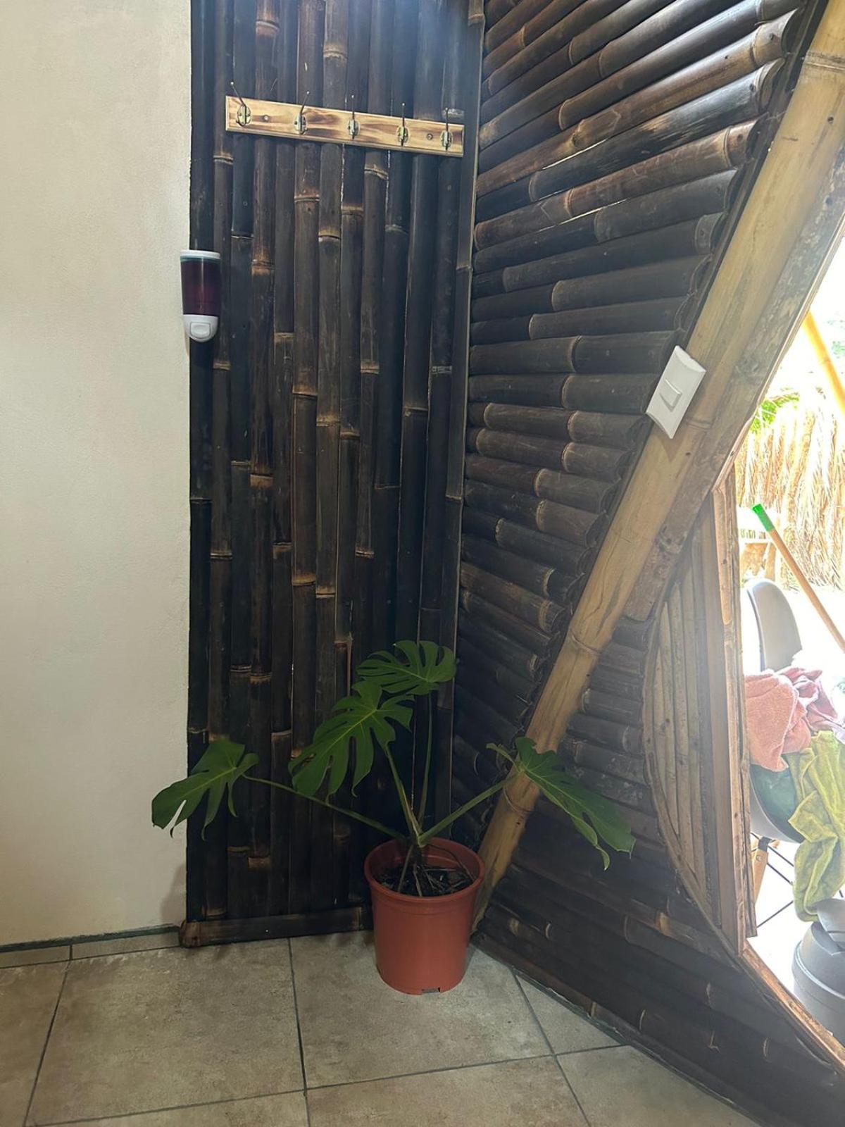 Bambuk Bio Chalet Uvita Beach Front