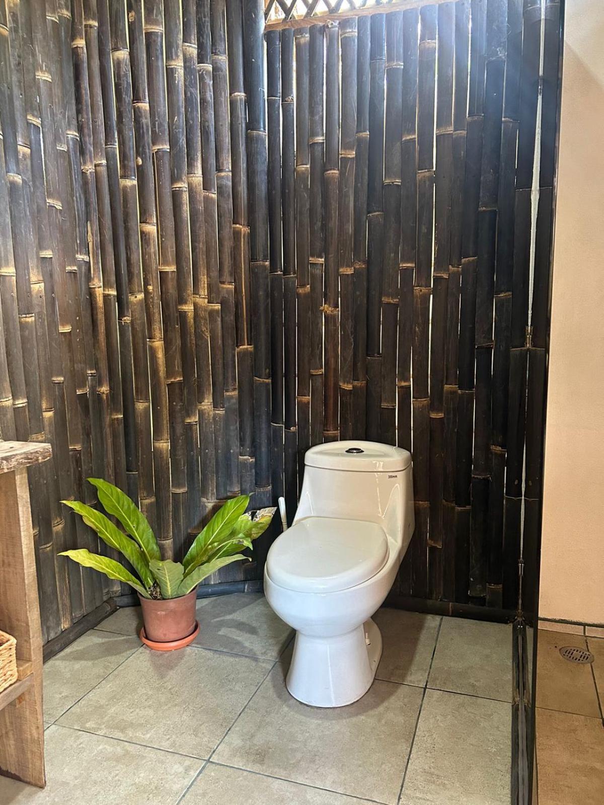 Bambuk Bio Chalet Uvita Beach Front