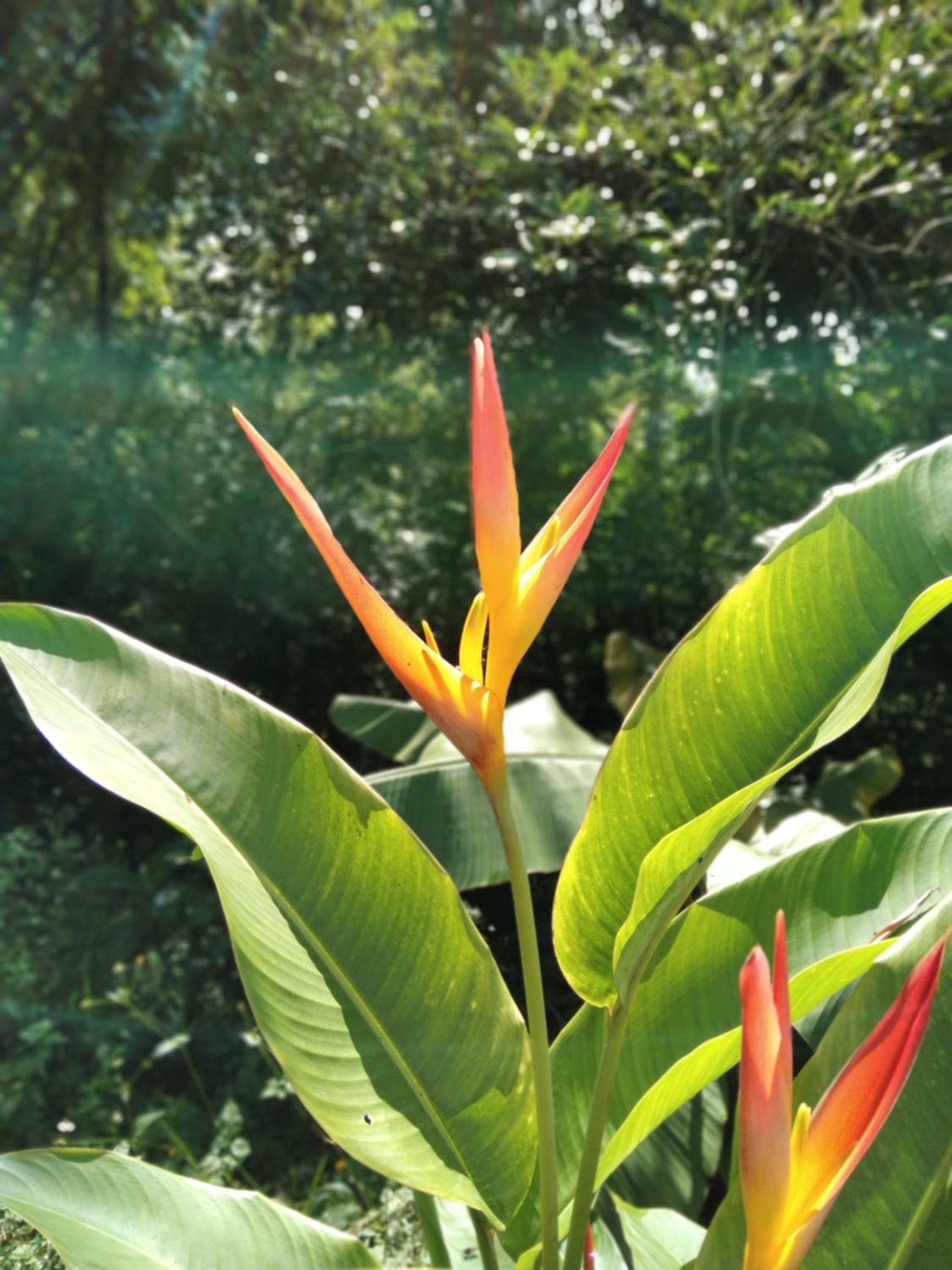 Alojamiento rural, Finca primavera