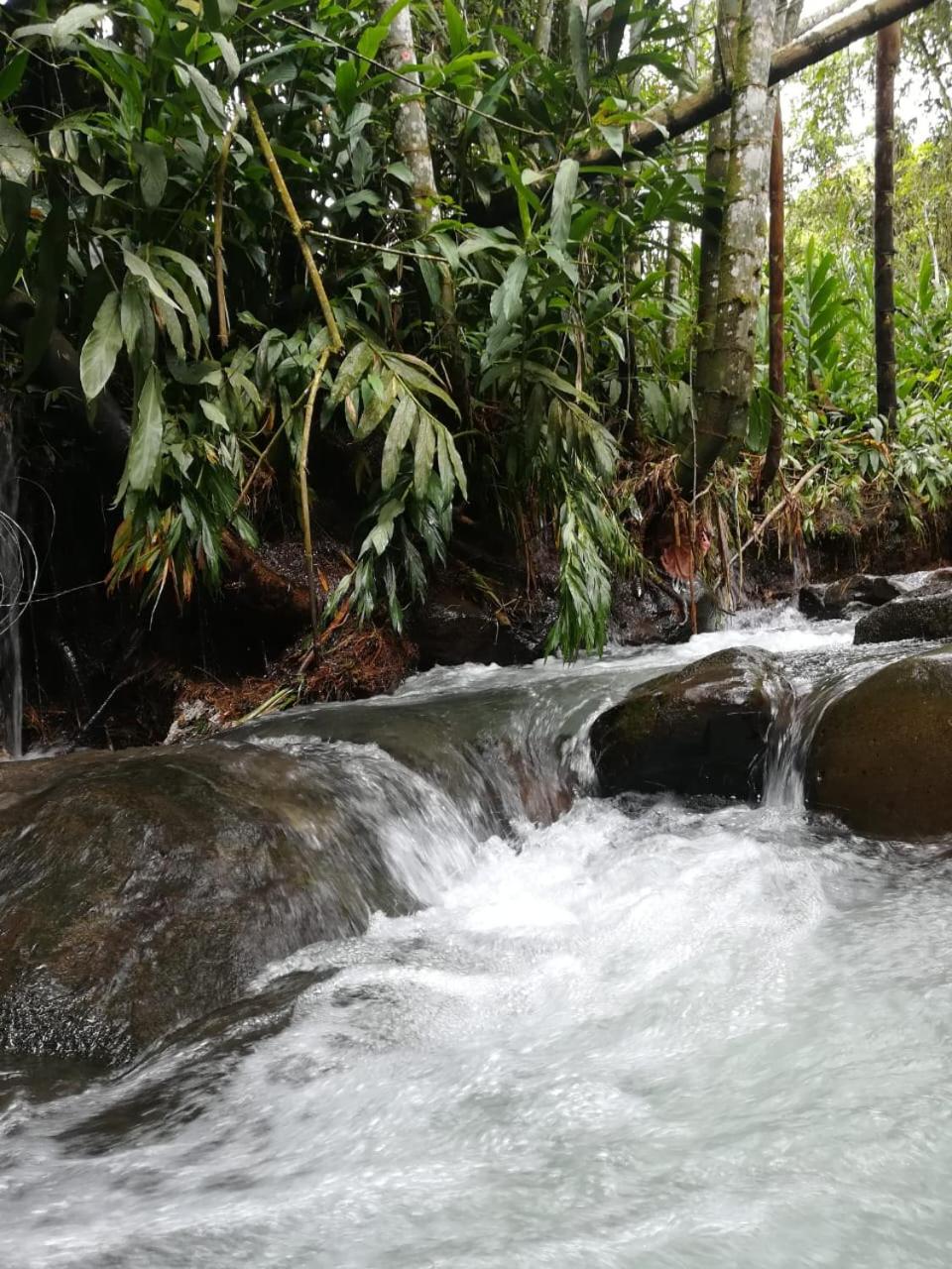 Alojamiento rural, Finca primavera