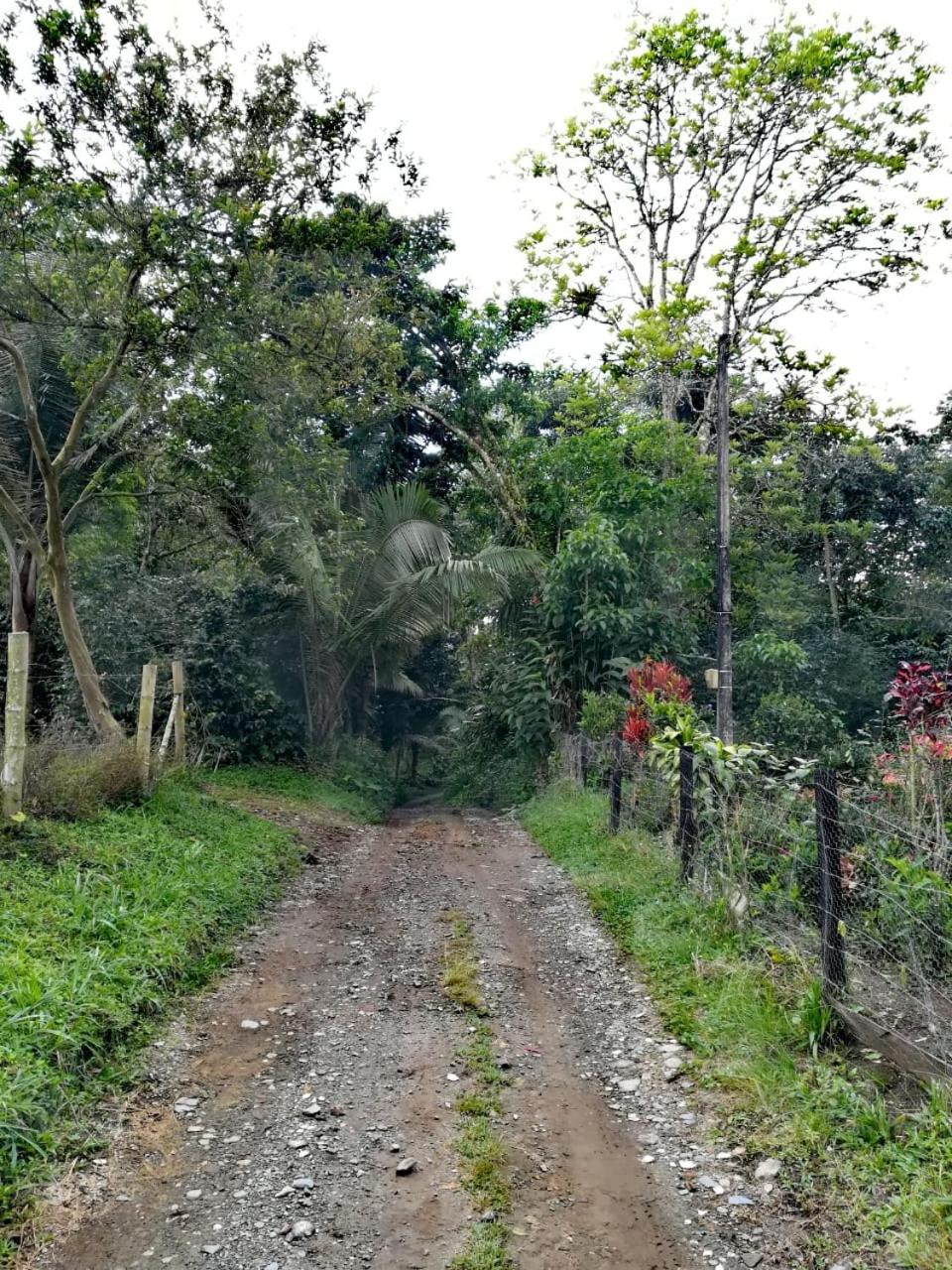 Alojamiento rural, Finca primavera