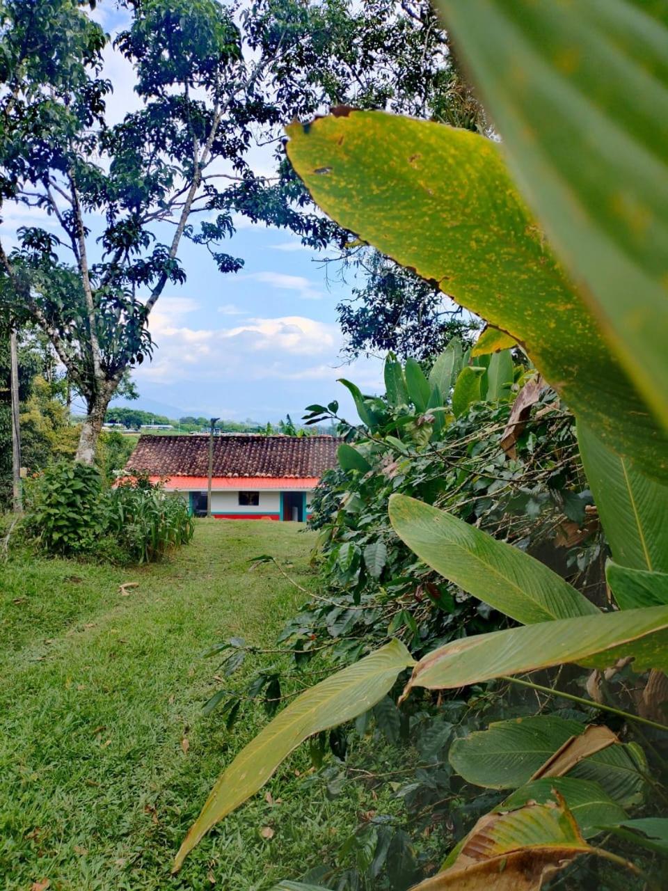 Alojamiento rural, Finca primavera