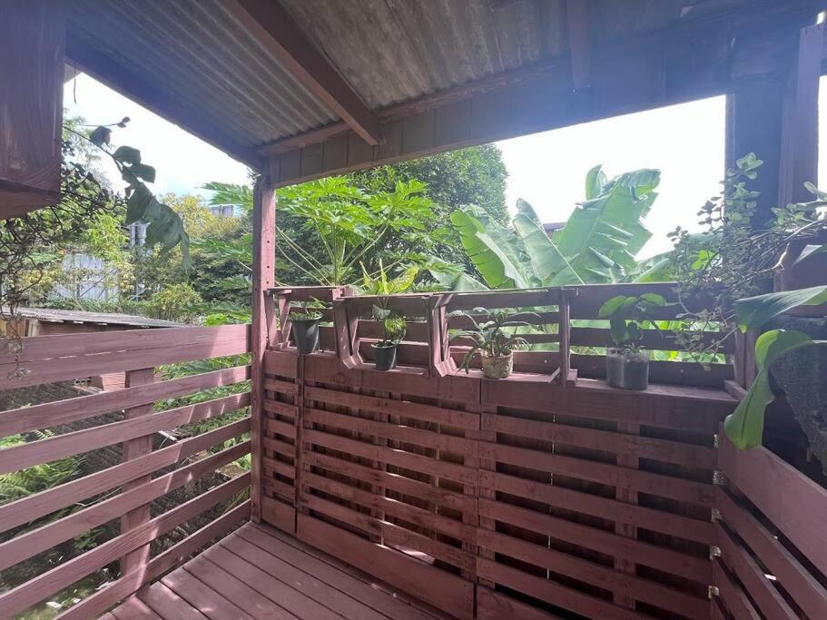 Hostel Pantanal Em Florianópolis