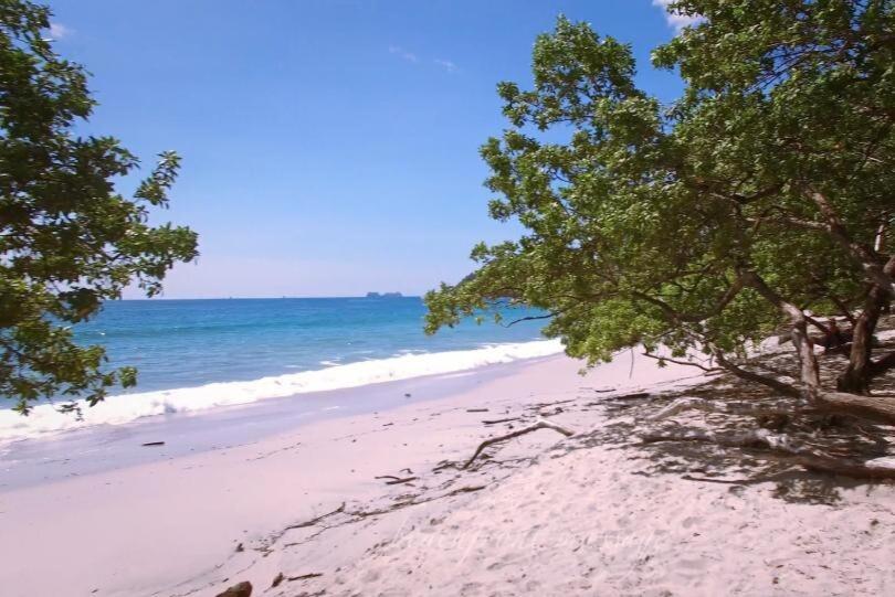 Beautiful Ocean-View Condo in Flamingo - Walk to B