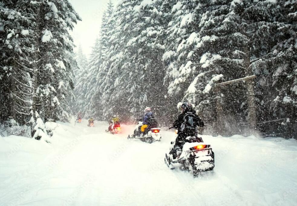 ChaletBlanc