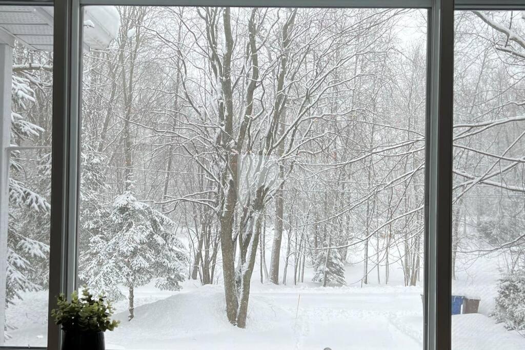 ChaletBlanc