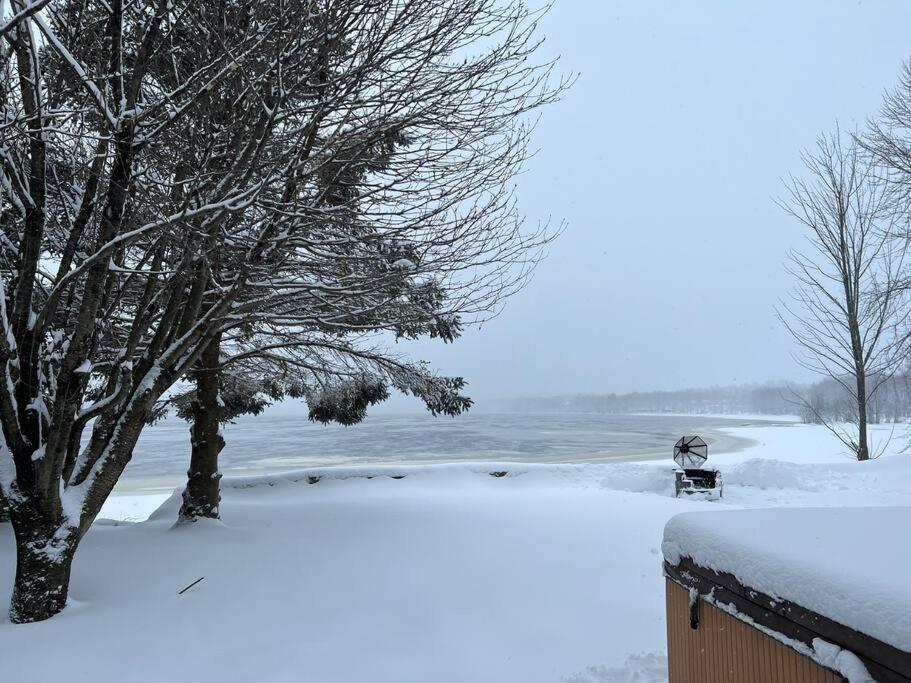 ChaletBlanc