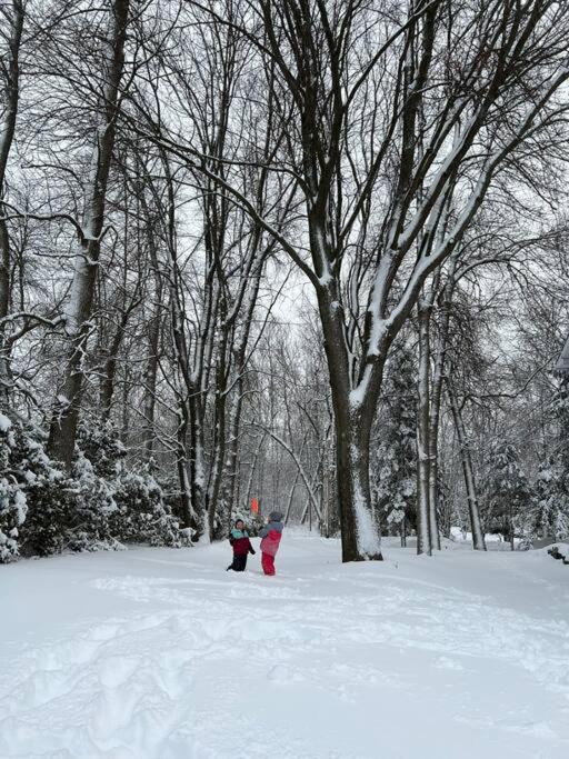 ChaletBlanc
