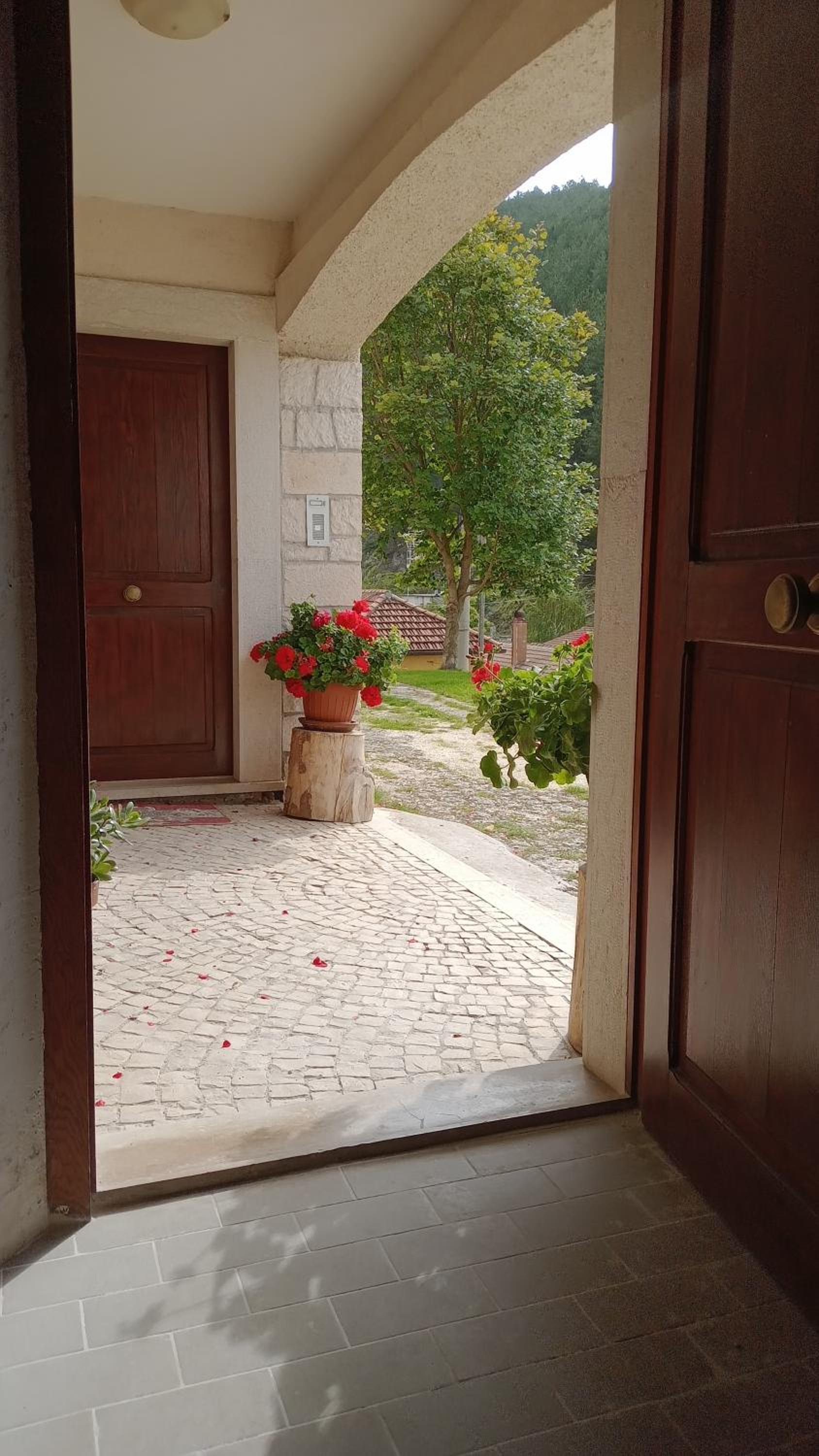 Photo 24