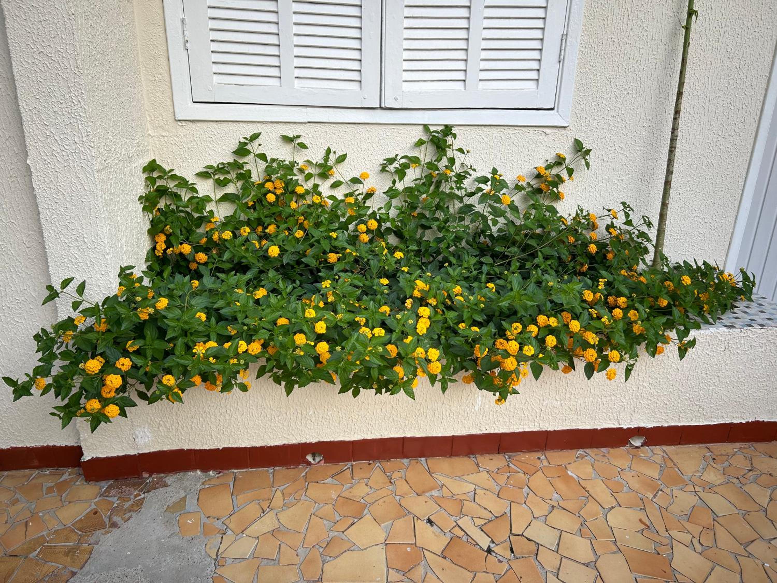 Casa de praia em Guarujá a 200 metros do mar