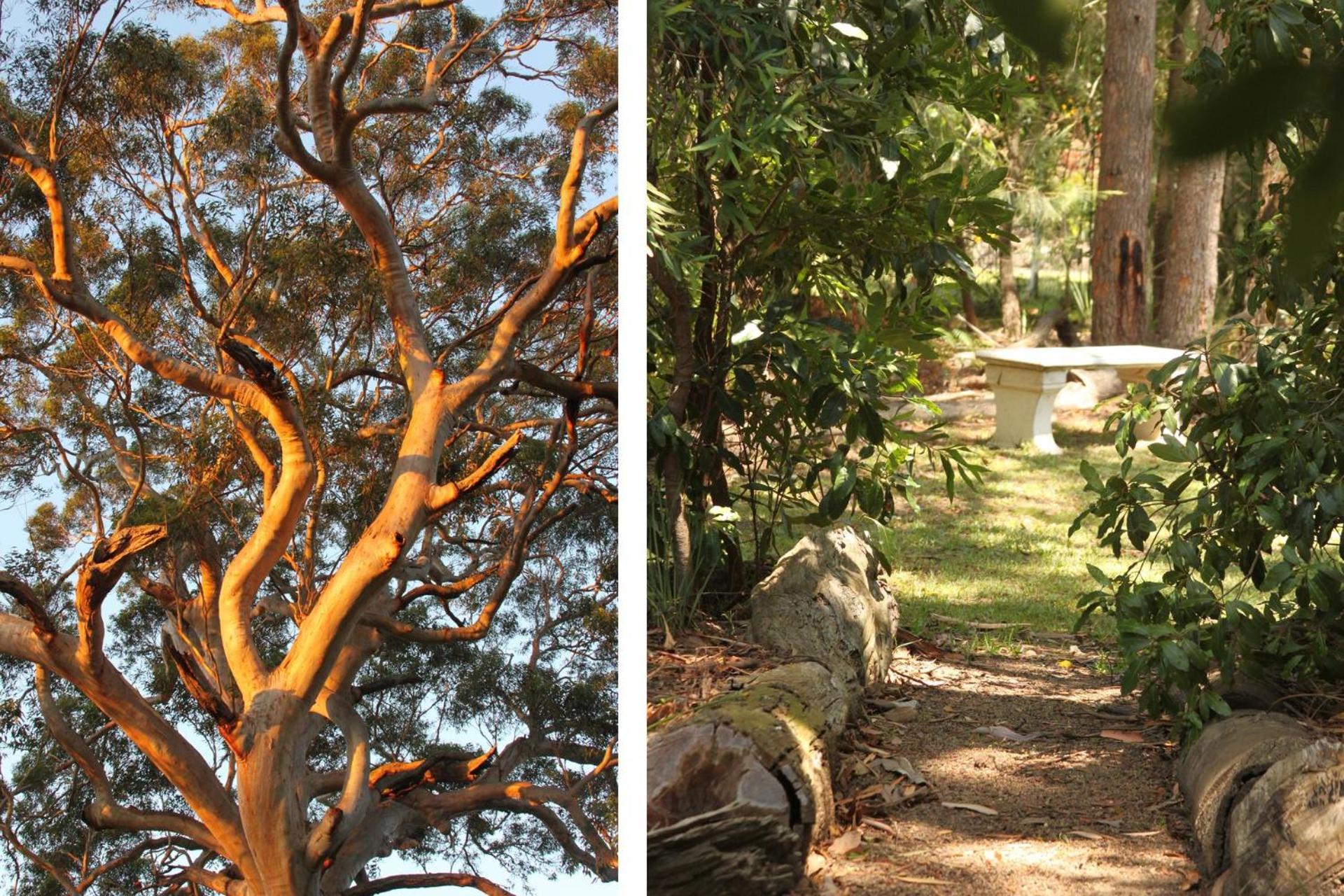 Jan's Retreat by Experience Jervis Bay