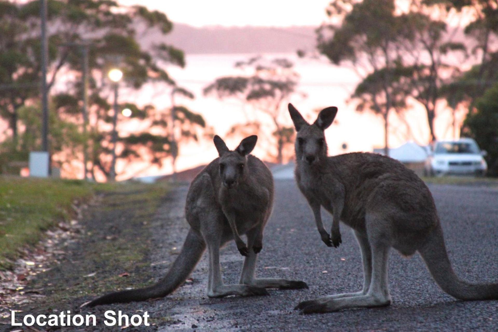 Jan's Retreat by Experience Jervis Bay