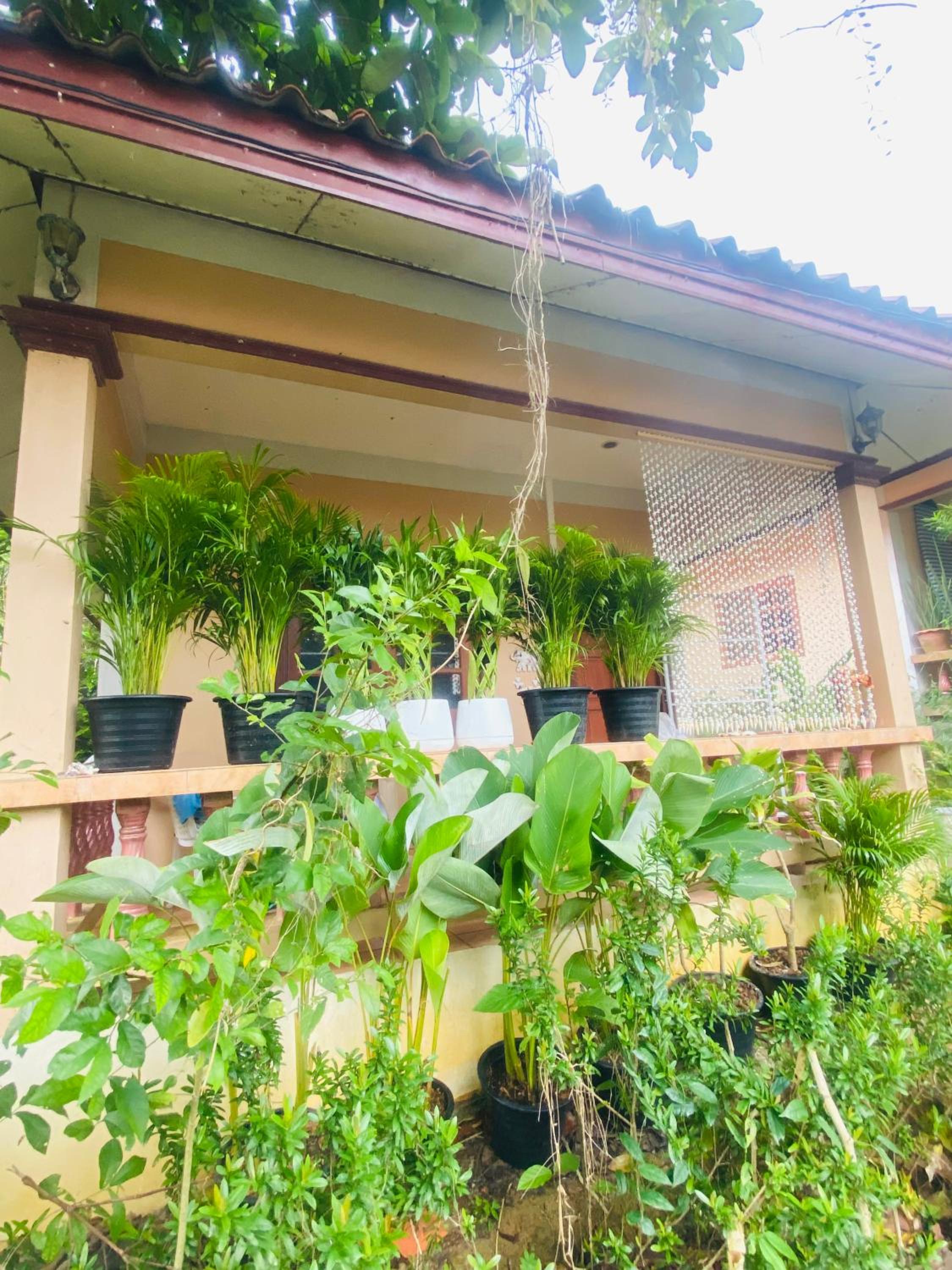 Rose bungalow at Ya Nui beach