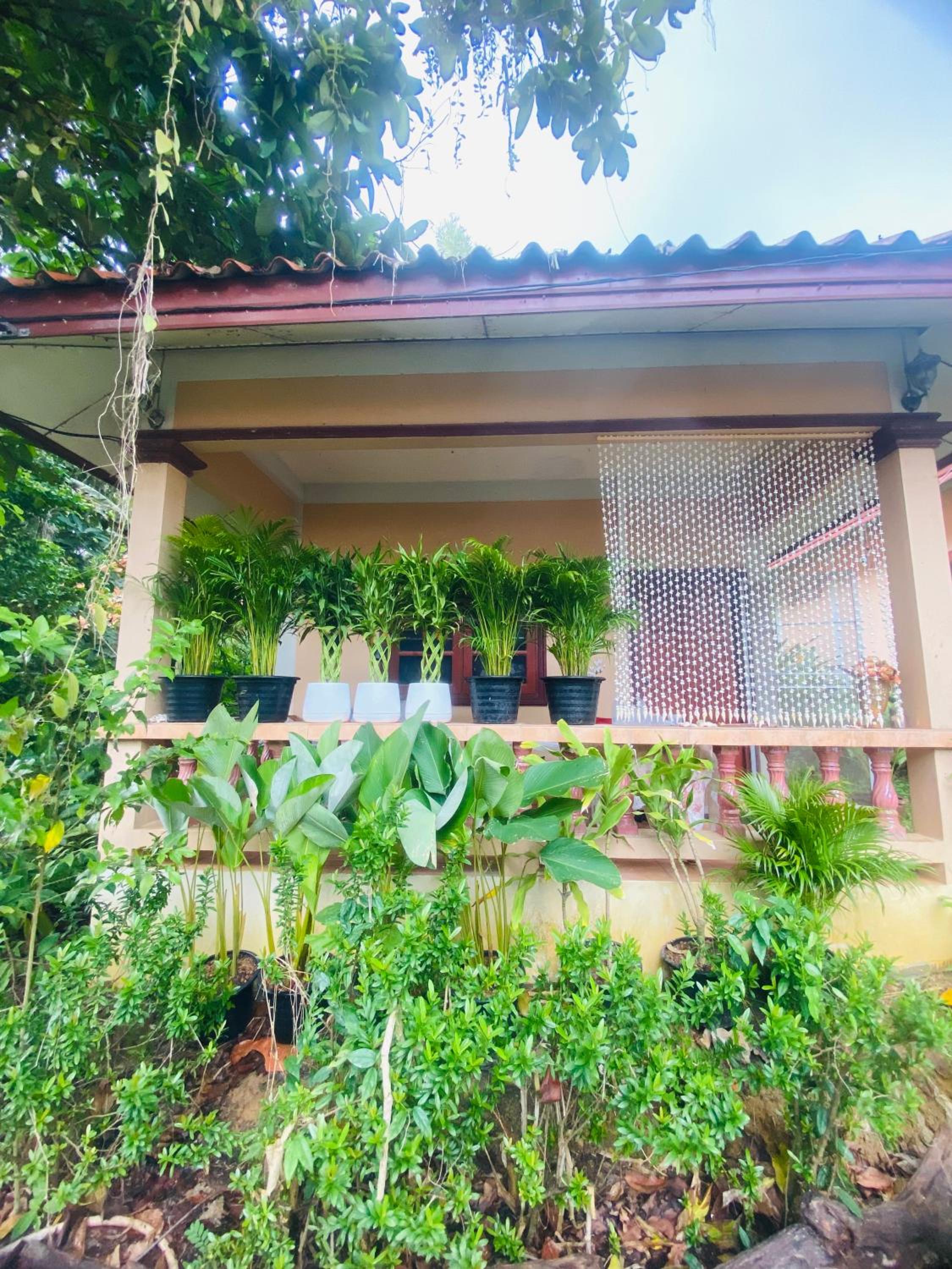 Rose bungalow at Ya Nui beach