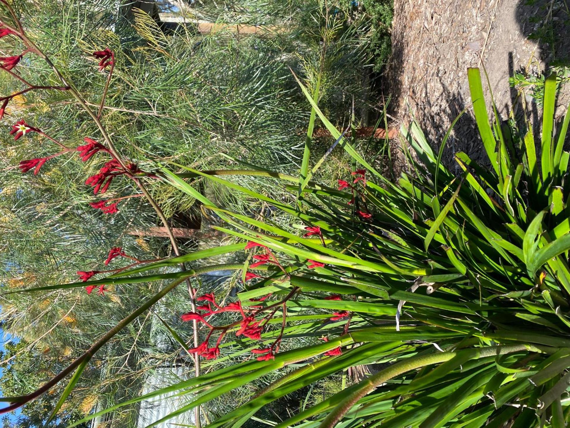 Murramarang Haven