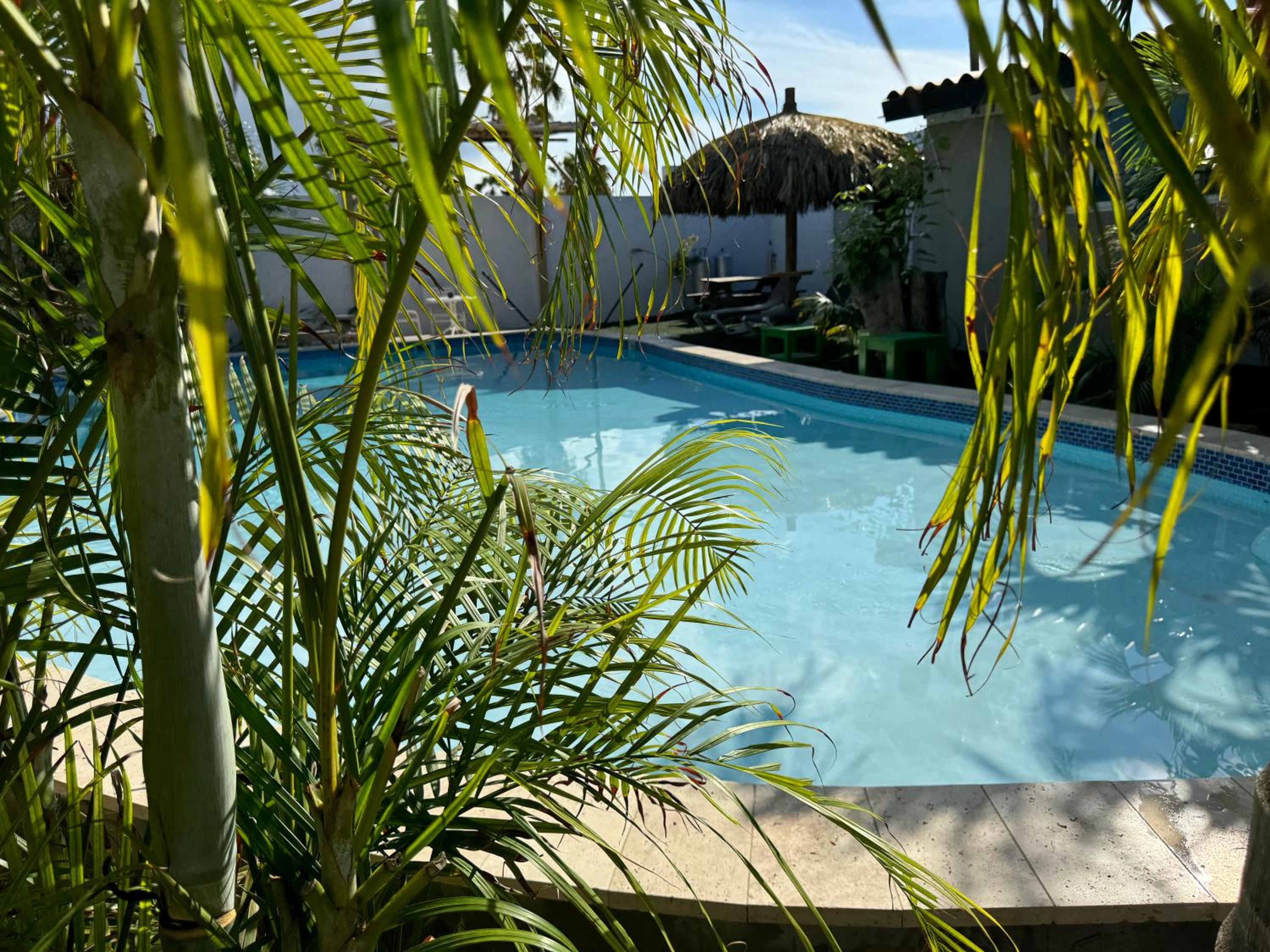 Casalina Garden 2 blocks to Palm Beach & Kitesurfing school