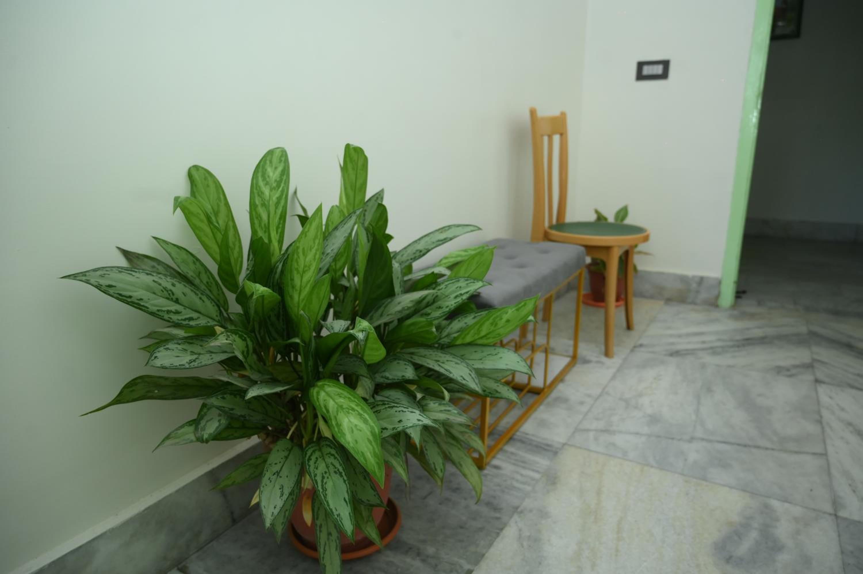 Photo 29