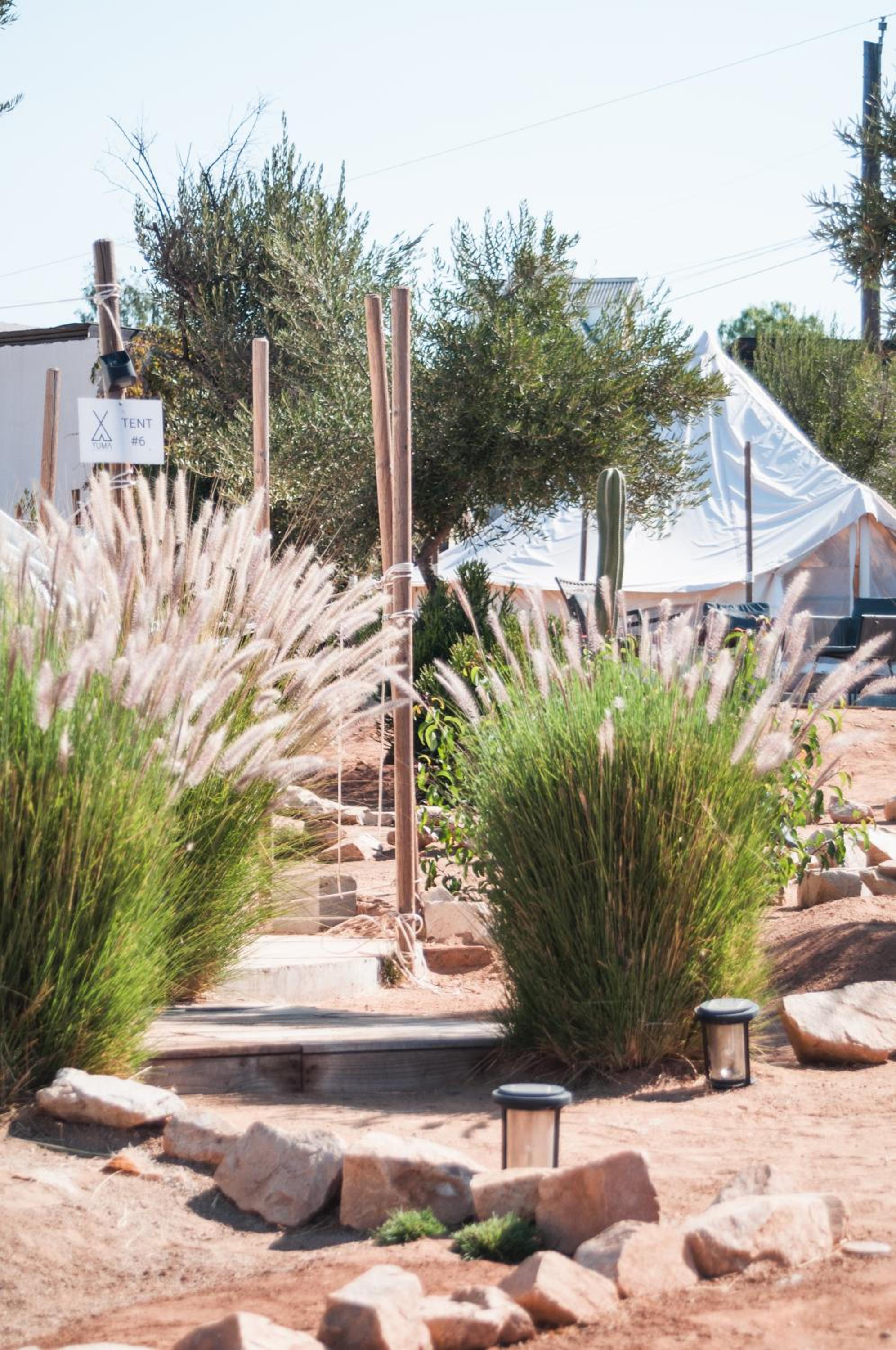 Ensenada Vacations - Glamping Valle de Guadalupe with Private Bathrooms by YUMA Resort - Property Image 2