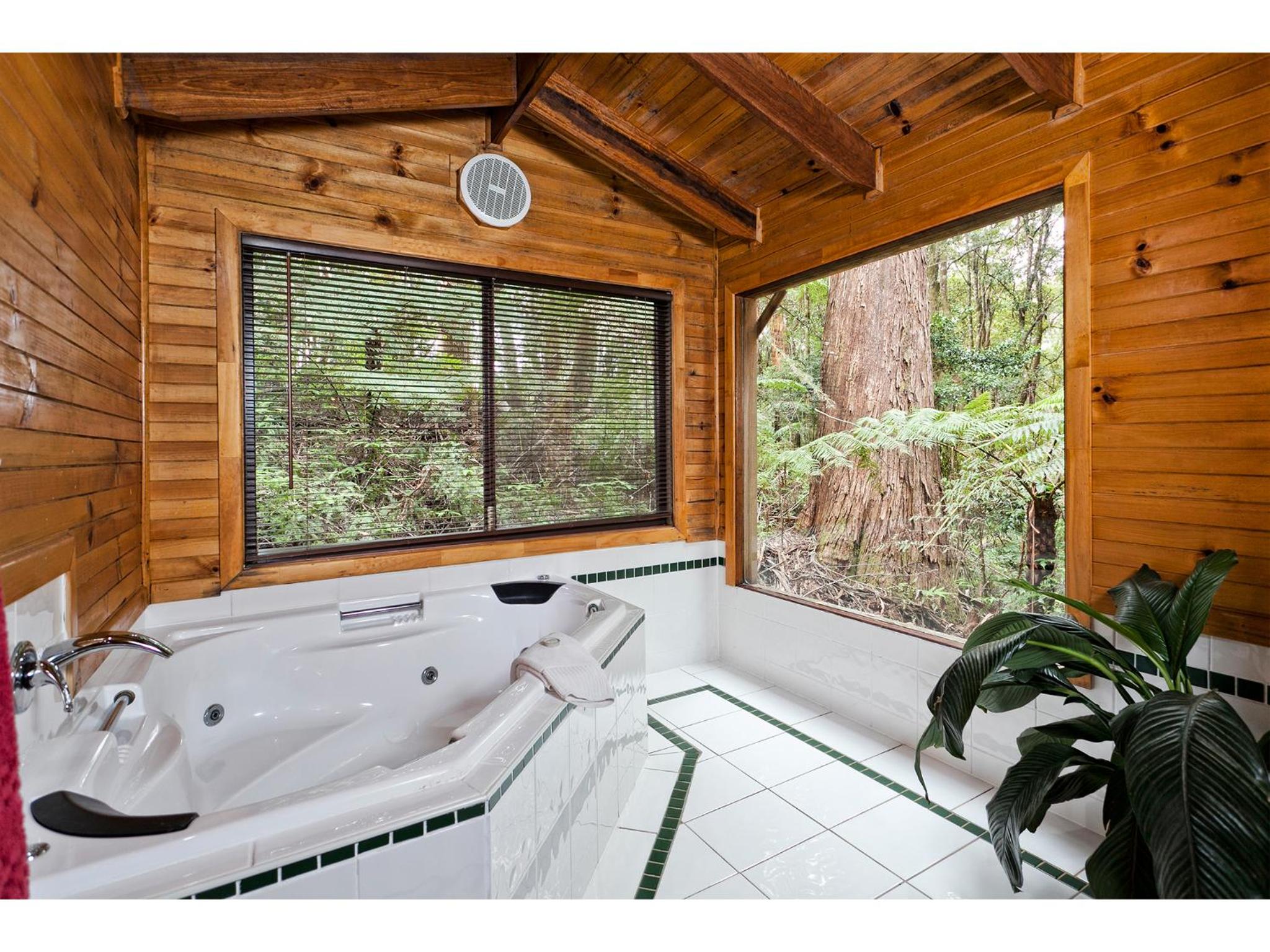 The Mouses House Rainforest Retreat