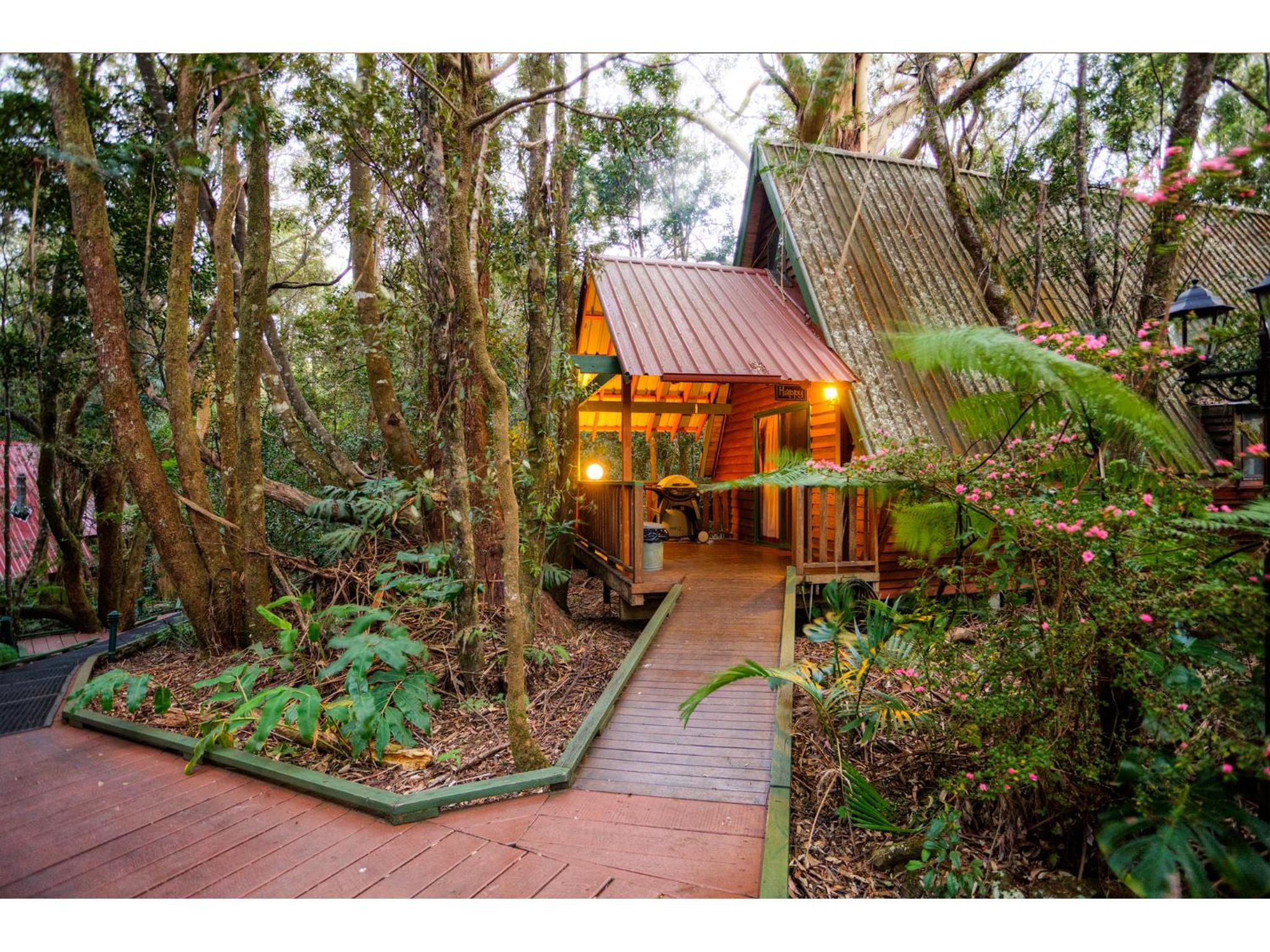The Mouses House Rainforest Retreat