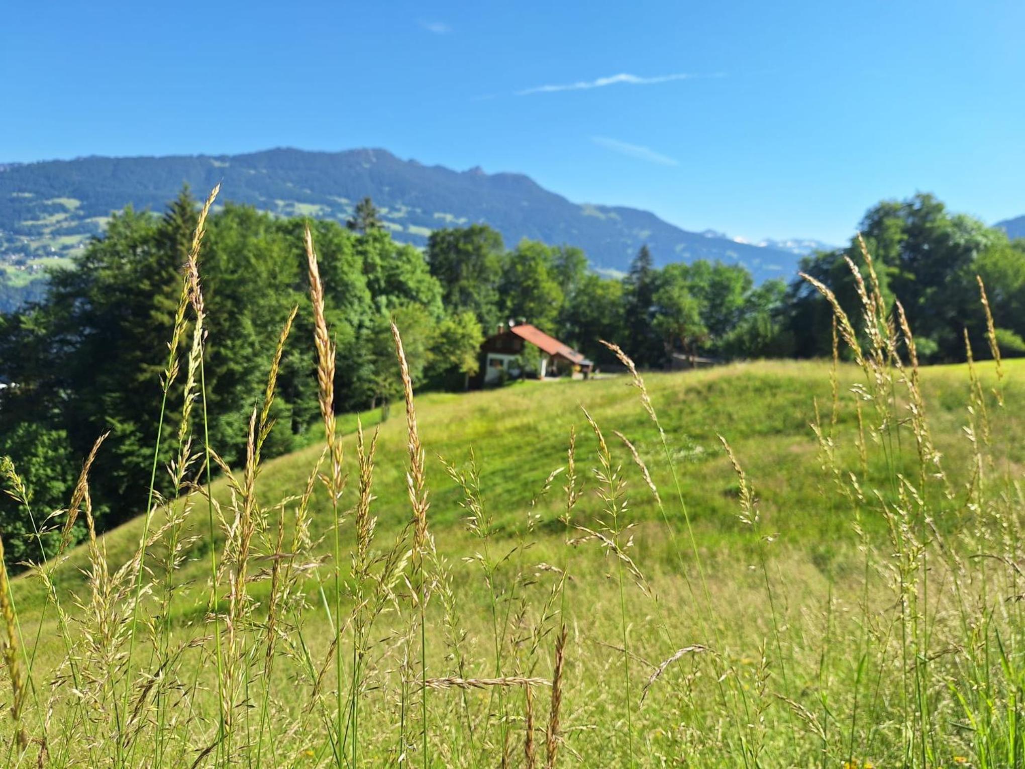 Bergmomente Montafon Ferienhaus Bitschweil