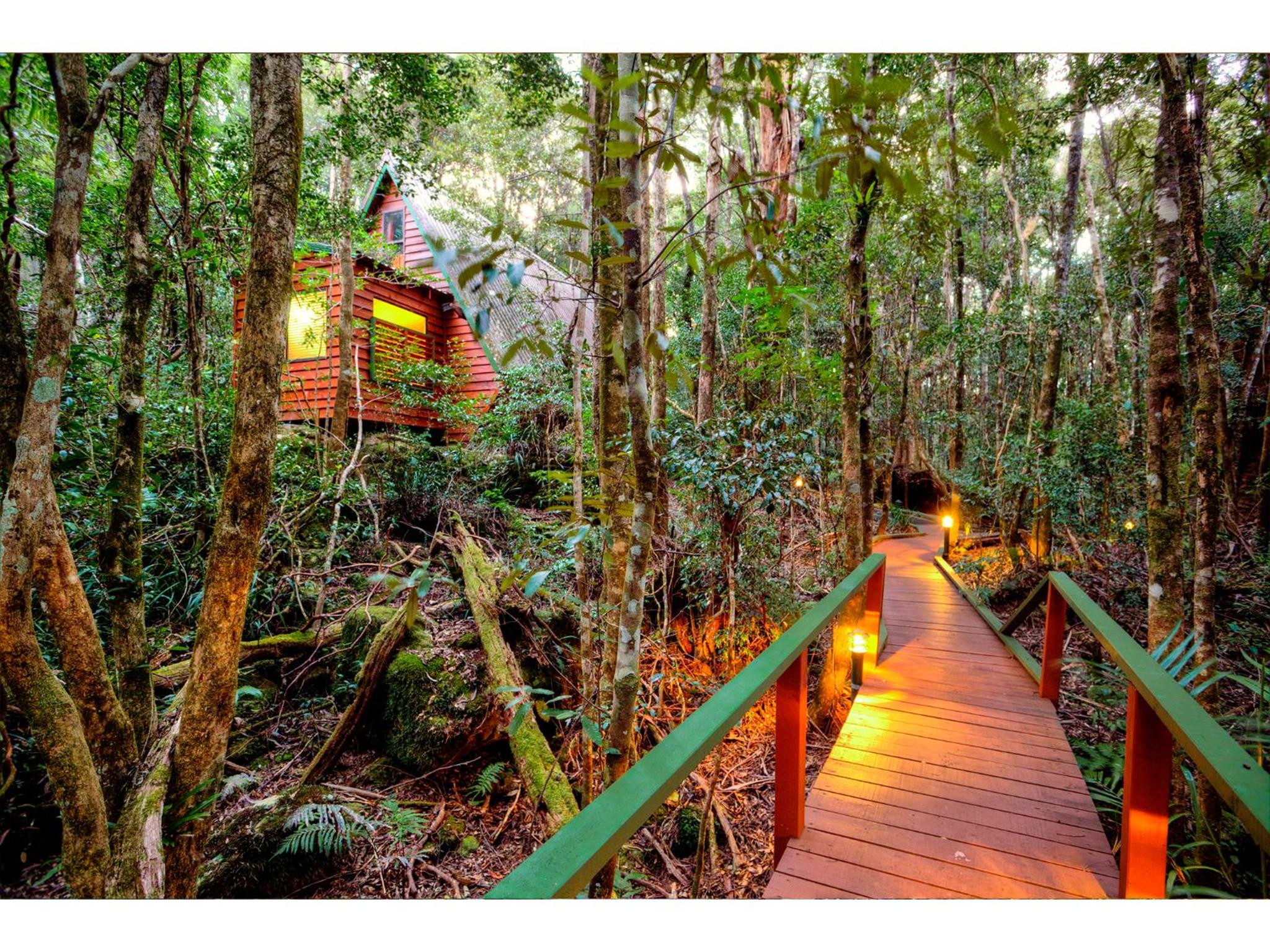 The Mouses House Rainforest Retreat