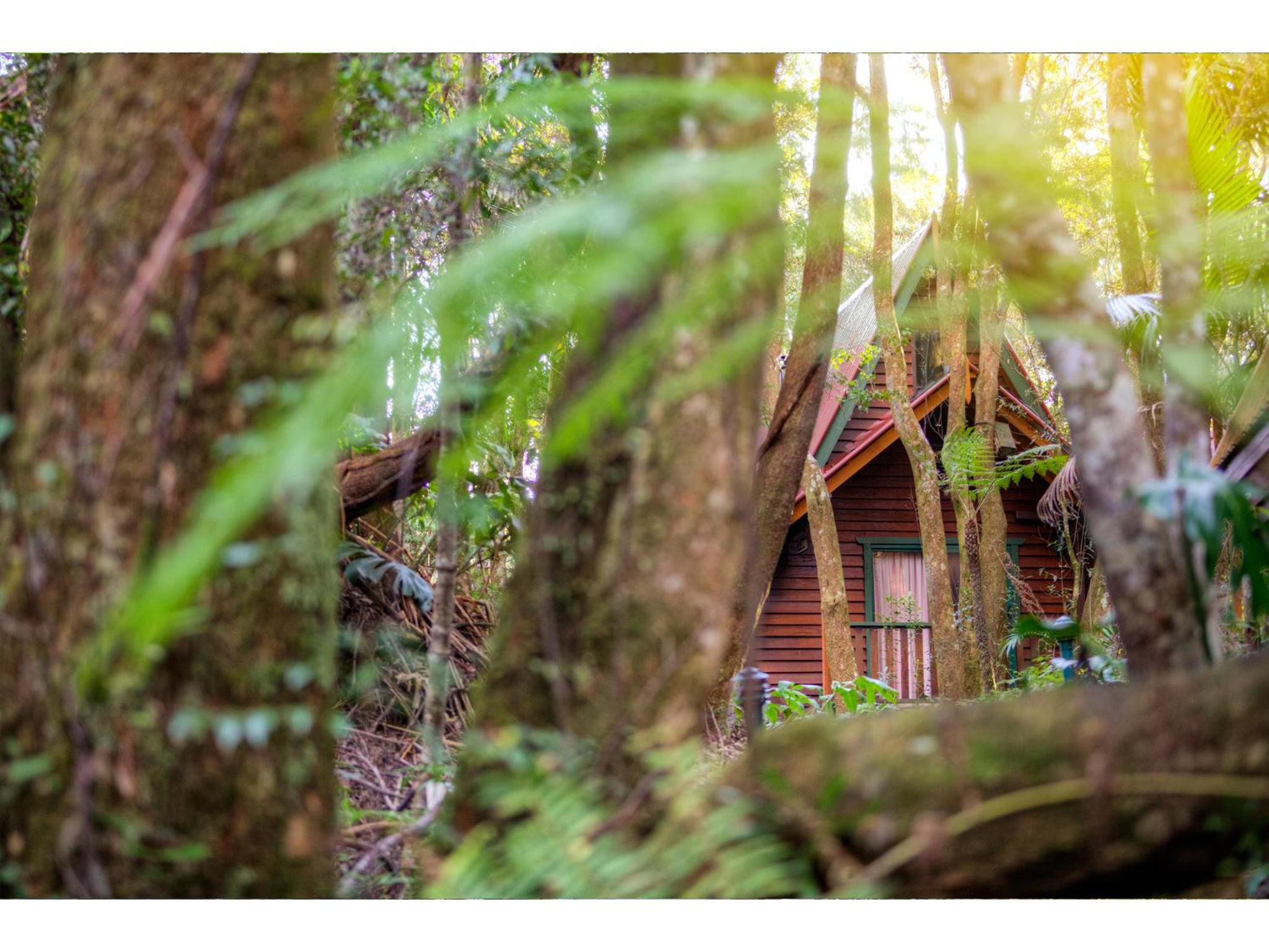 The Mouses House Rainforest Retreat